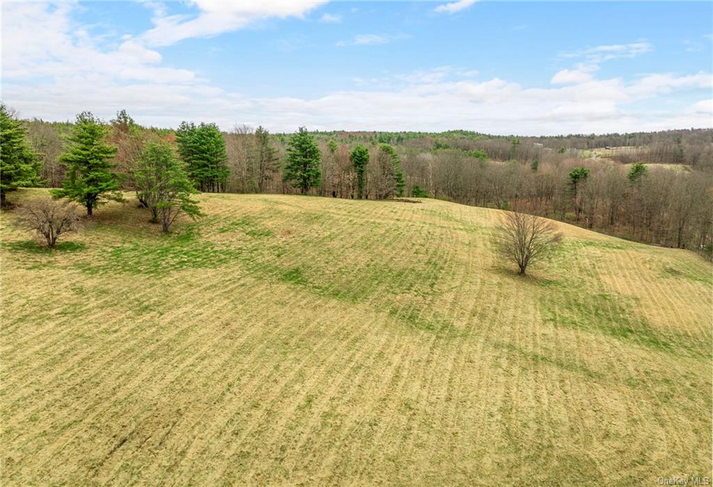 Photo 10 of 21 of 205 Seven Bridges Road land