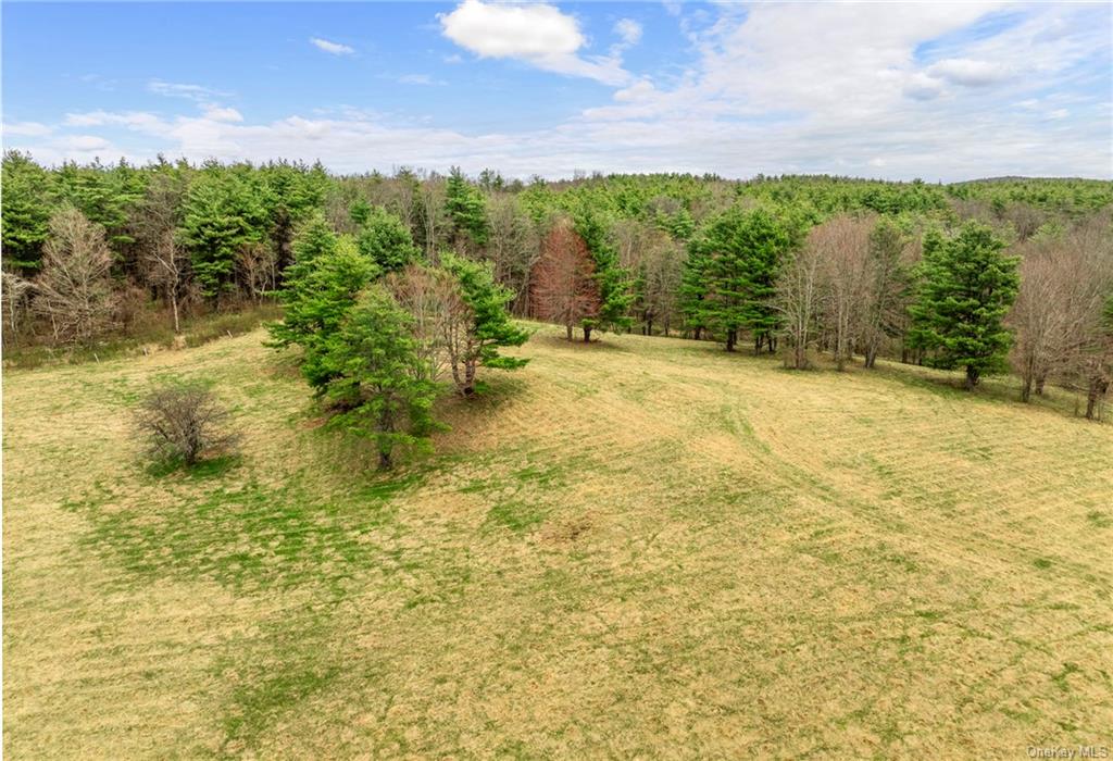 Photo 11 of 21 of 205 Seven Bridges Road land