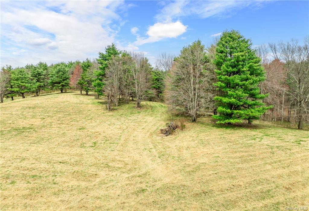 Photo 13 of 21 of 205 Seven Bridges Road land