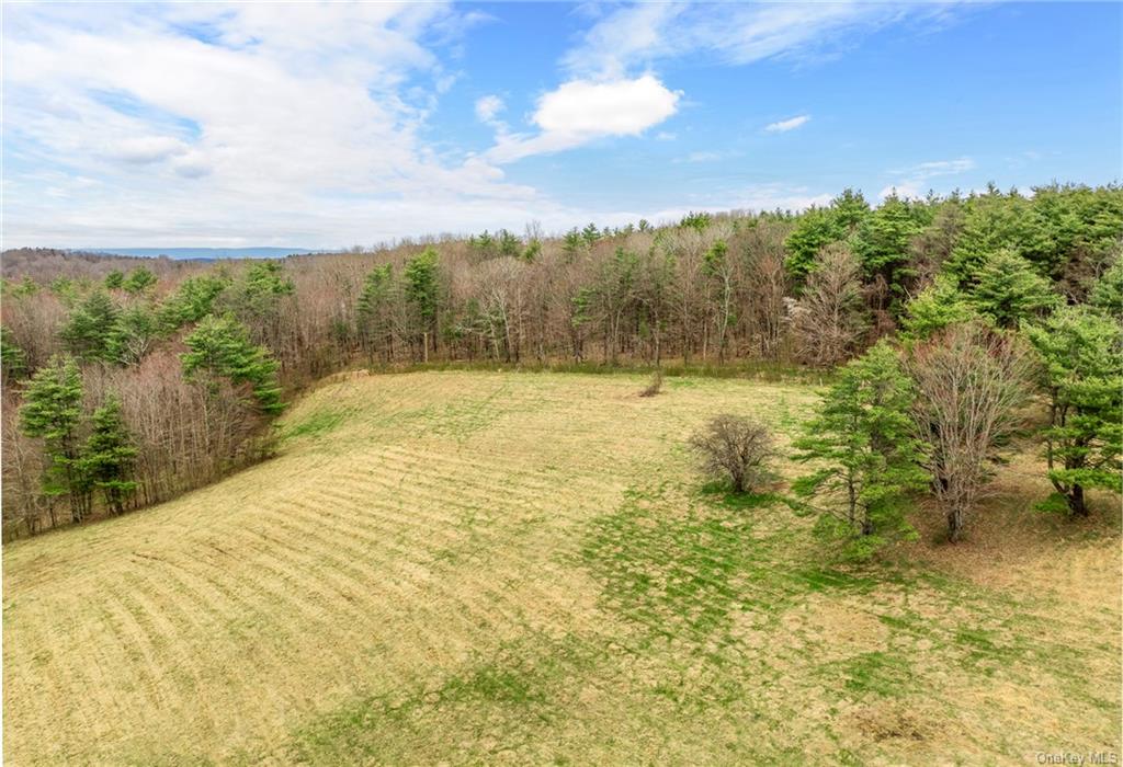 Photo 14 of 21 of 205 Seven Bridges Road land