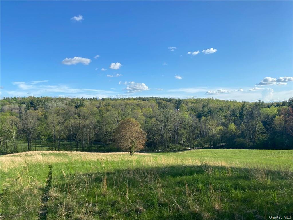 Photo 15 of 21 of 205 Seven Bridges Road land