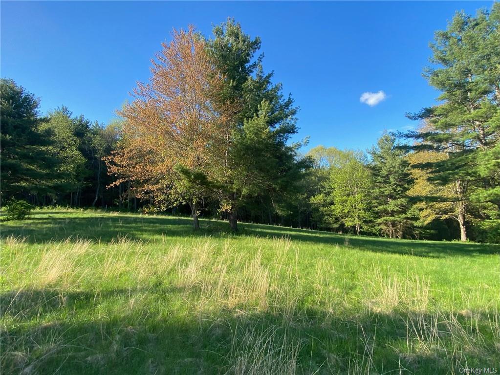 Photo 19 of 21 of 205 Seven Bridges Road land