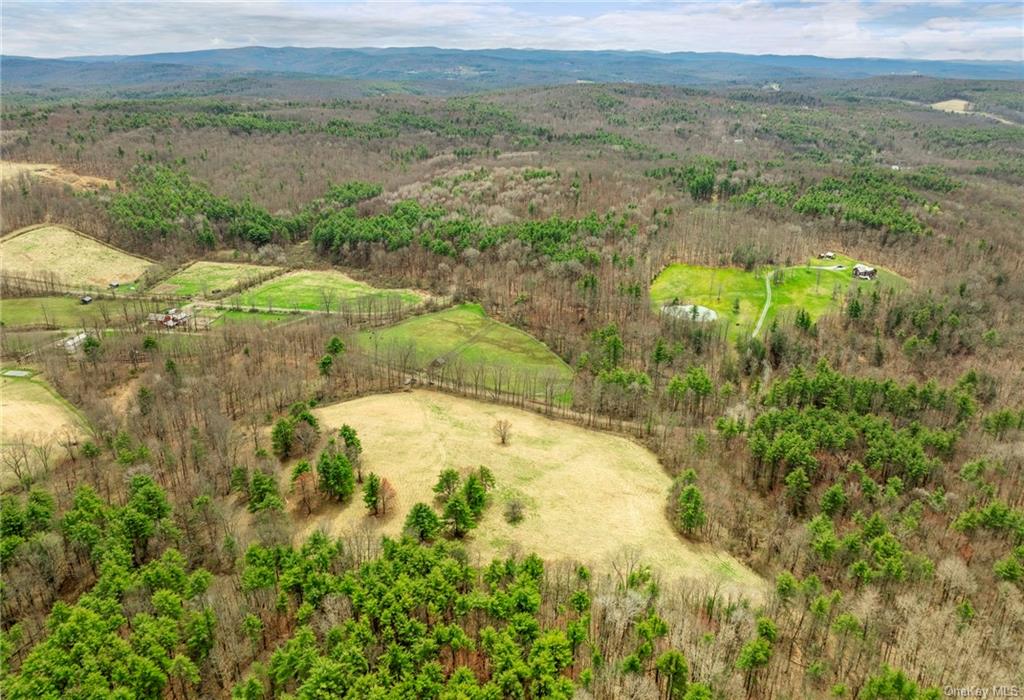 Photo 3 of 21 of 205 Seven Bridges Road land