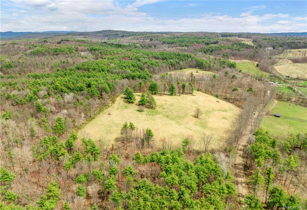 Photo 4 of 21 of 205 Seven Bridges Road land