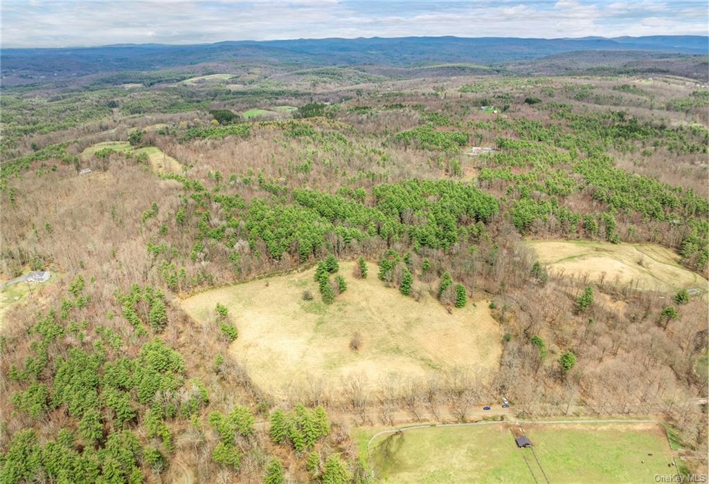 Photo 5 of 21 of 205 Seven Bridges Road land