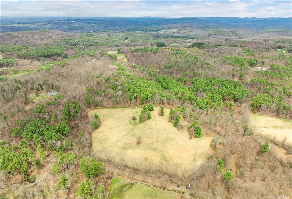 Photo 6 of 21 of 205 Seven Bridges Road land