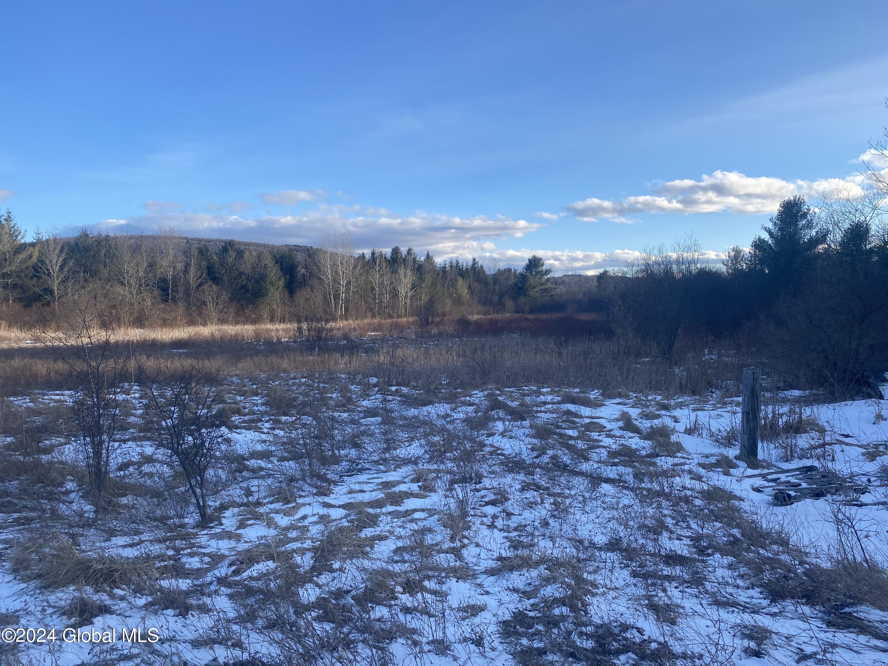 Photo 1 of 5 of 689 Beaver Dam Road land