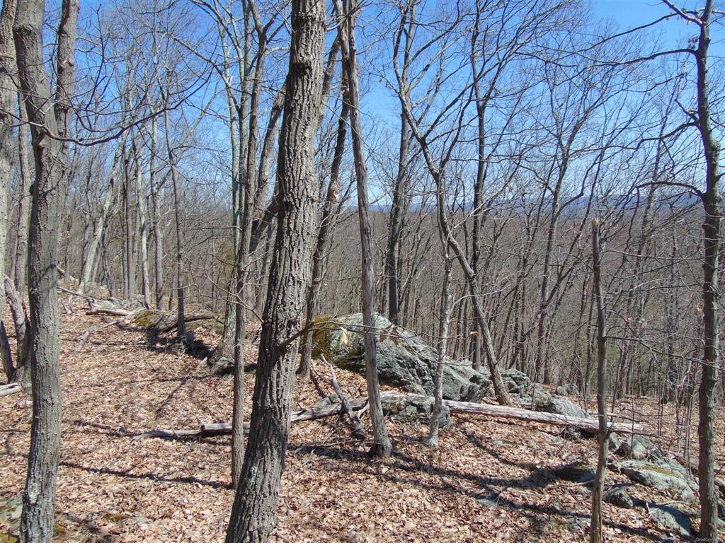 Photo 6 of 20 of 382 Cedar Hill Road land