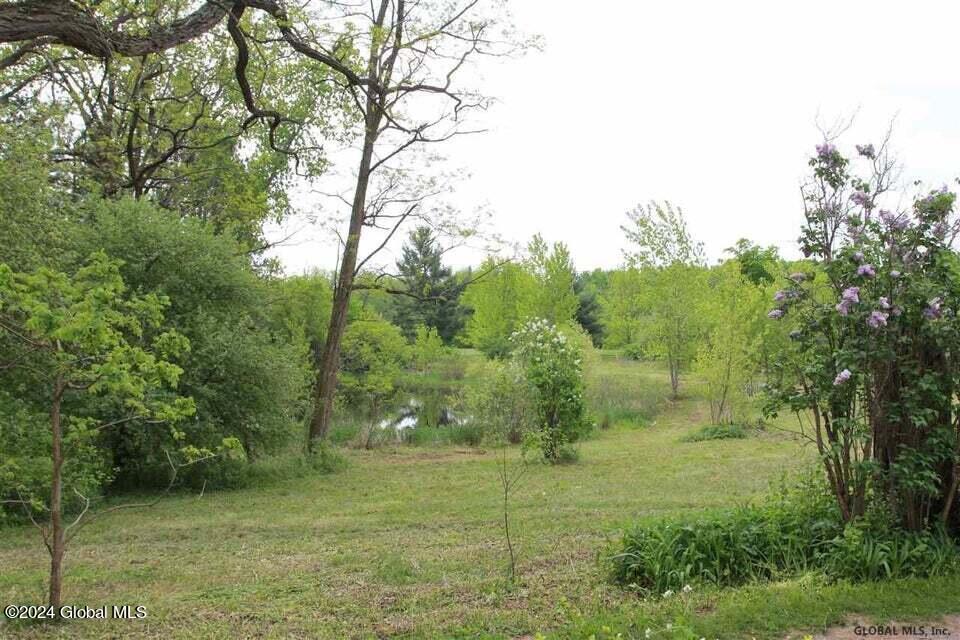 Photo 1 of 1 of 3825 Carman Road land