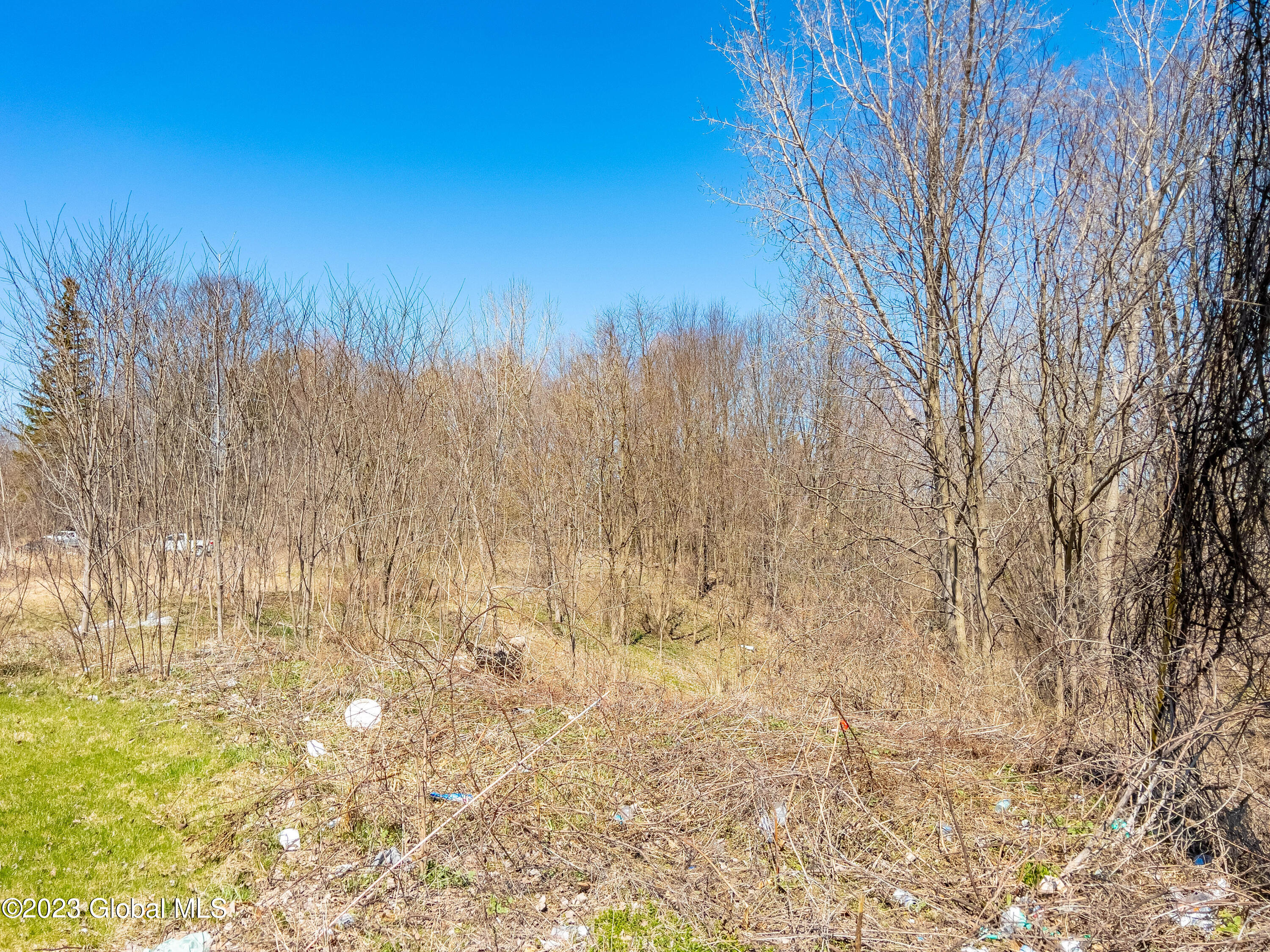 Photo 4 of 7 of 957 Troy-Schenectady Road land