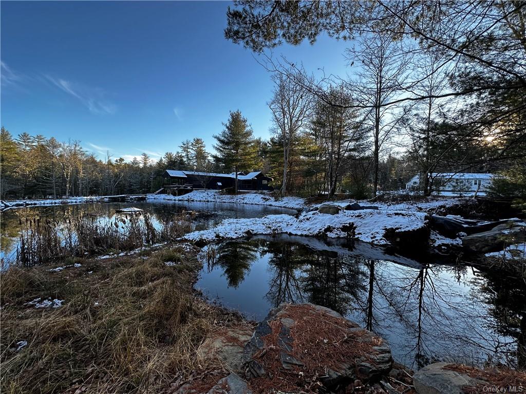 Photo 16 of 27 of 281 Blind Pond Road mobile home