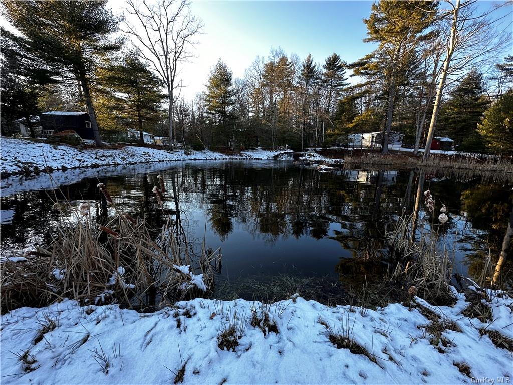 Photo 17 of 27 of 281 Blind Pond Road mobile home