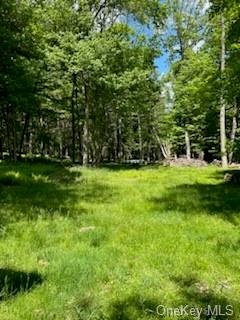 Photo 10 of 14 of 259 Lackawaxen Road house