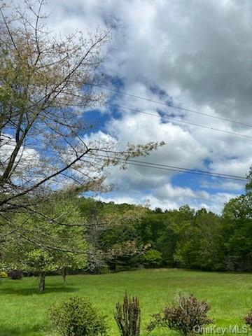 Photo 8 of 14 of 259 Lackawaxen Road house