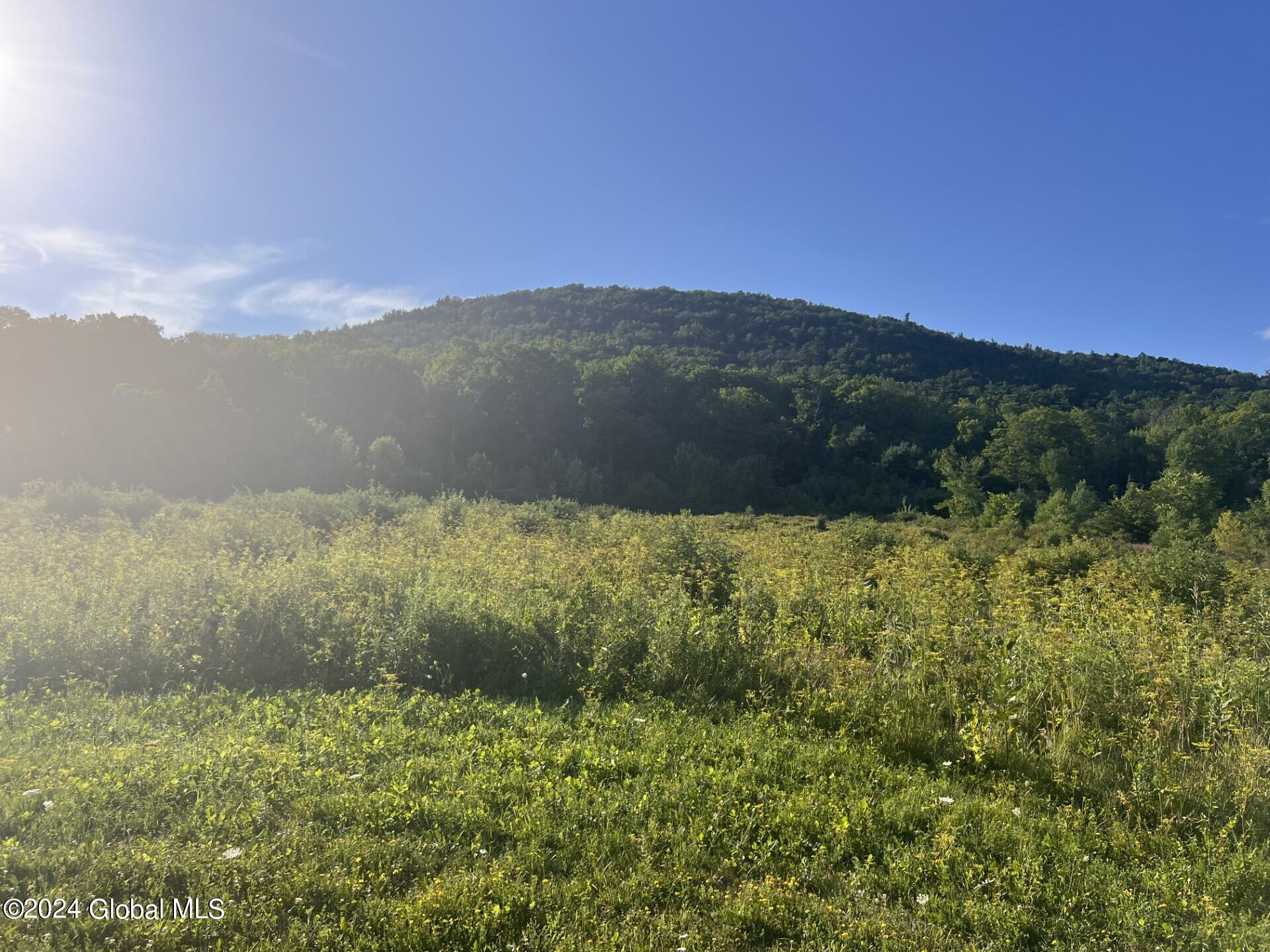 Photo 11 of 16 of 16573 State Route 22 land