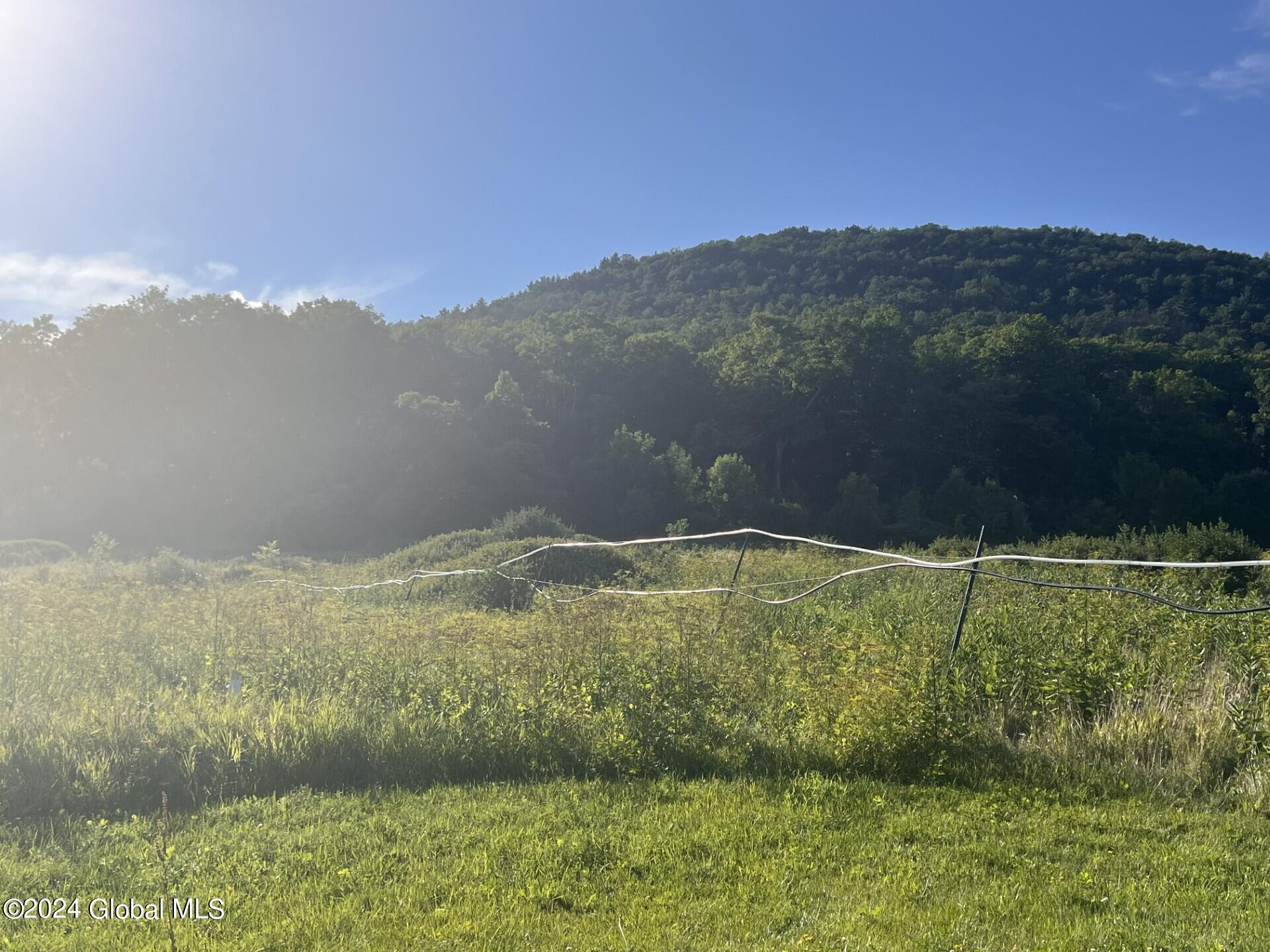 Photo 6 of 16 of 16573 State Route 22 land