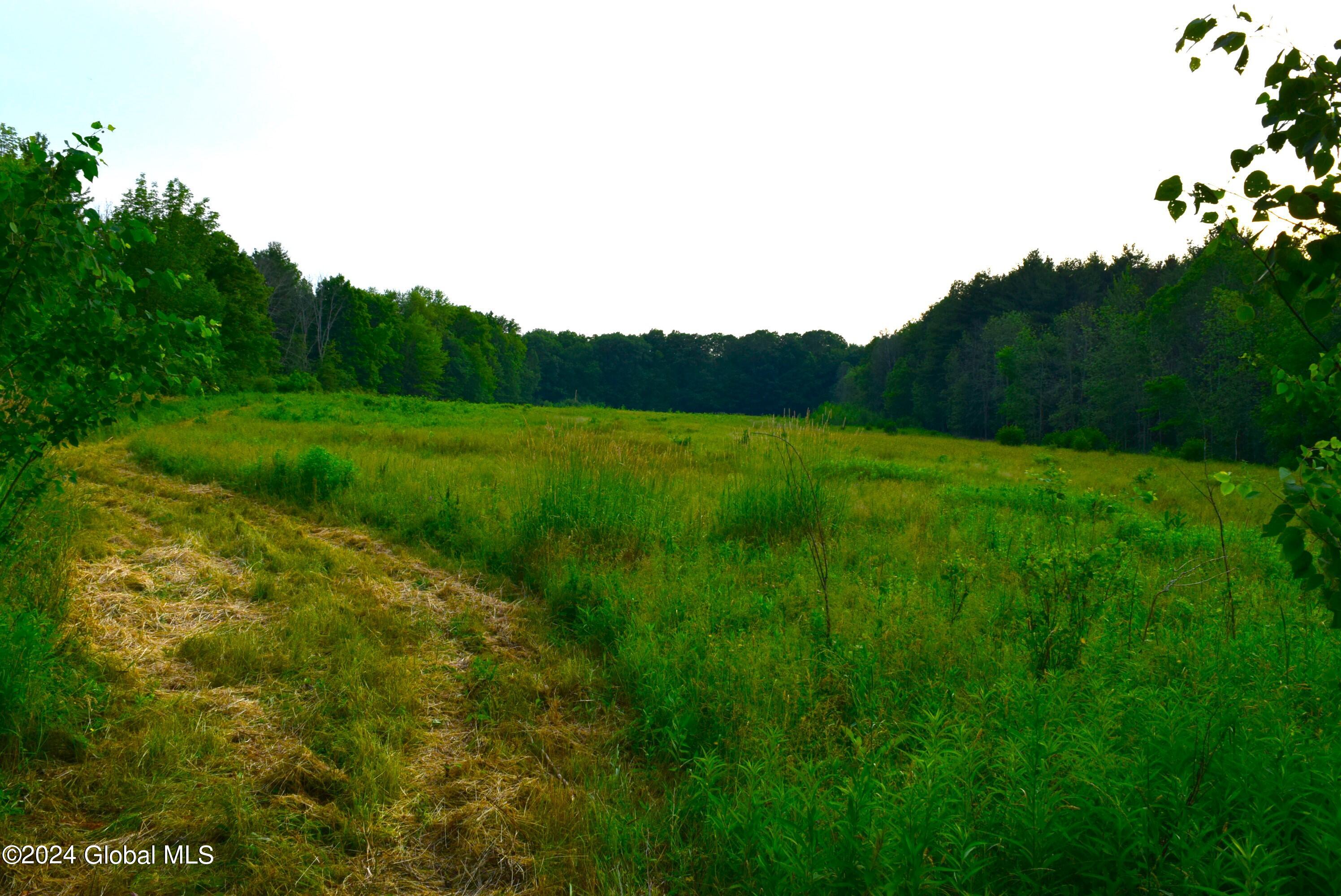 Photo 7 of 7 of 540 Waite Road land