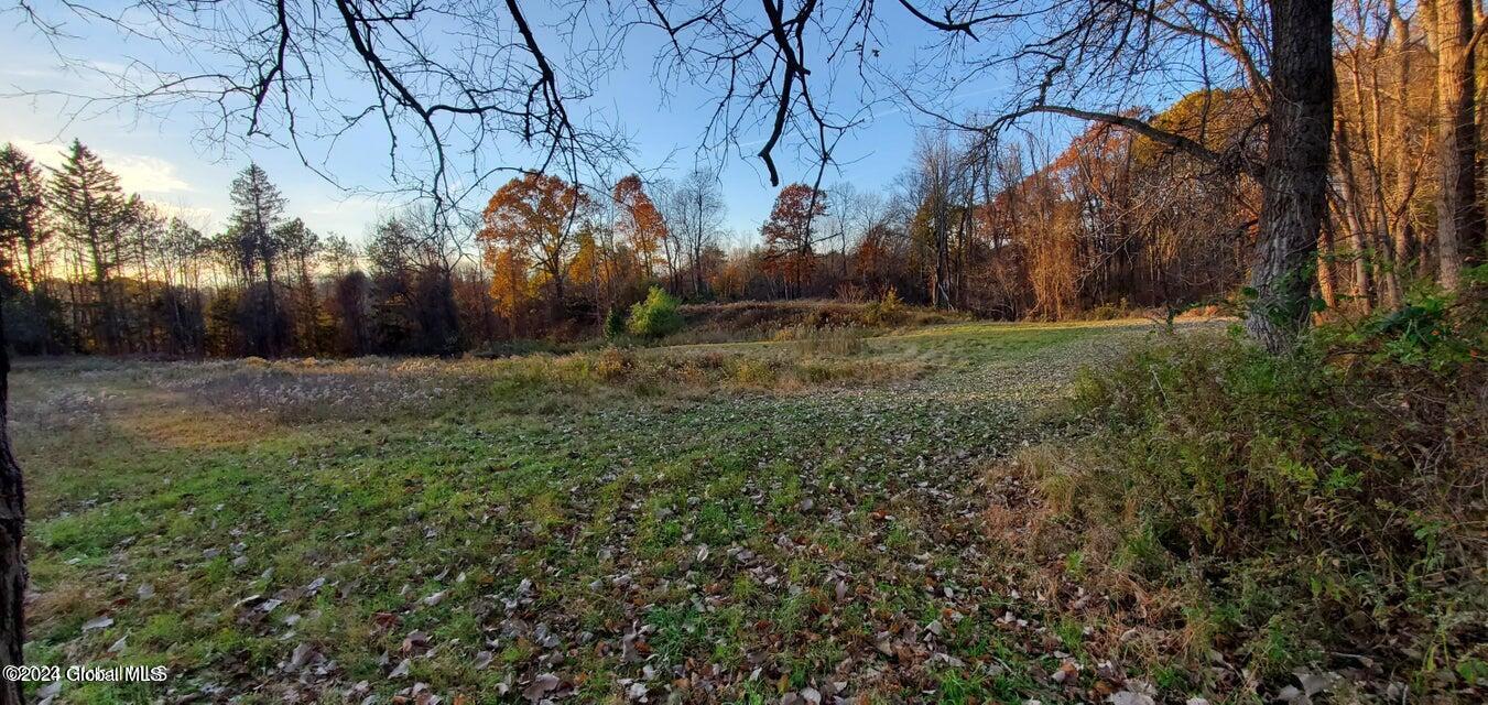 Photo 2 of 2 of 142 Solarview Lane land