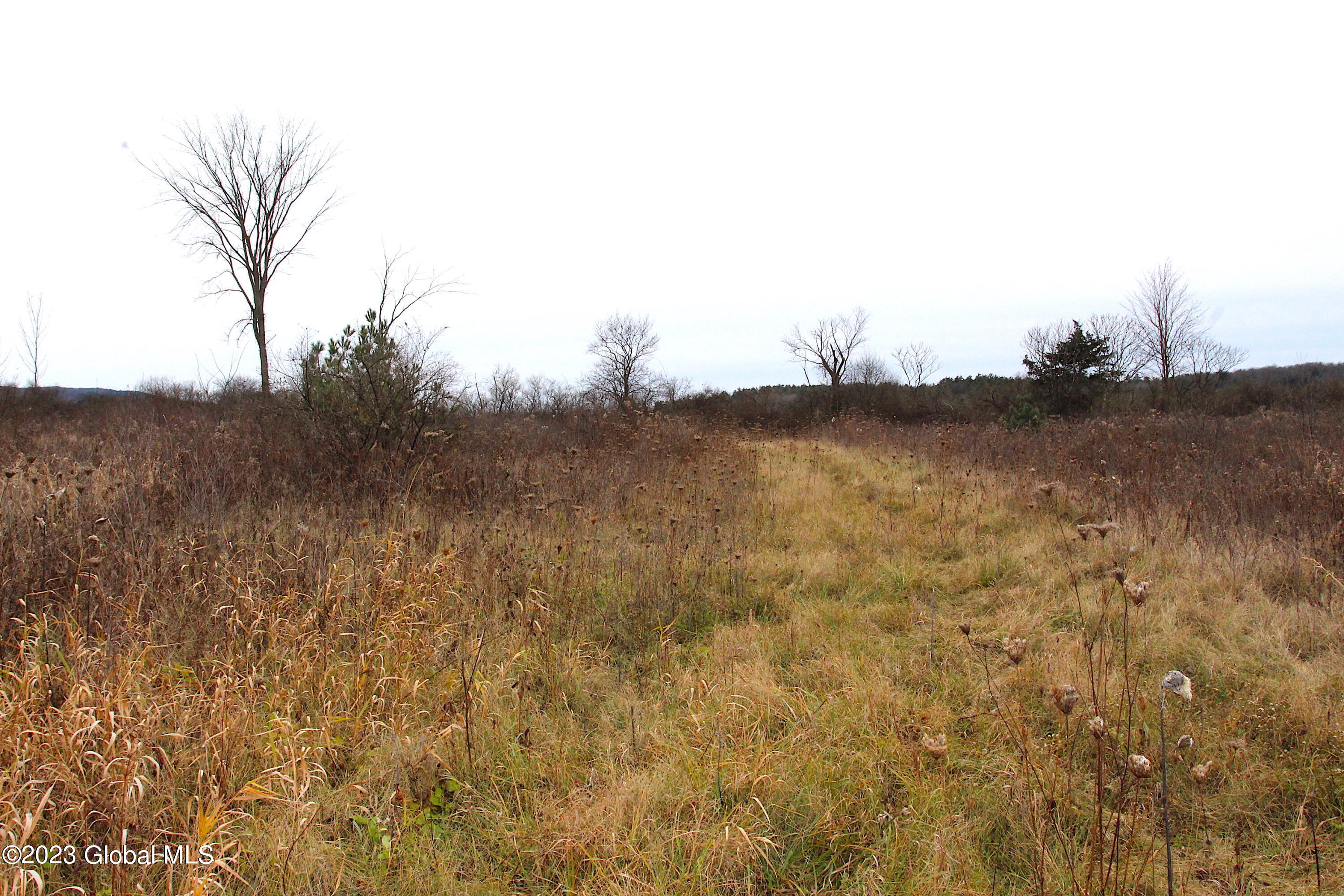 Photo 5 of 12 of Lot 4 County Route 18 land
