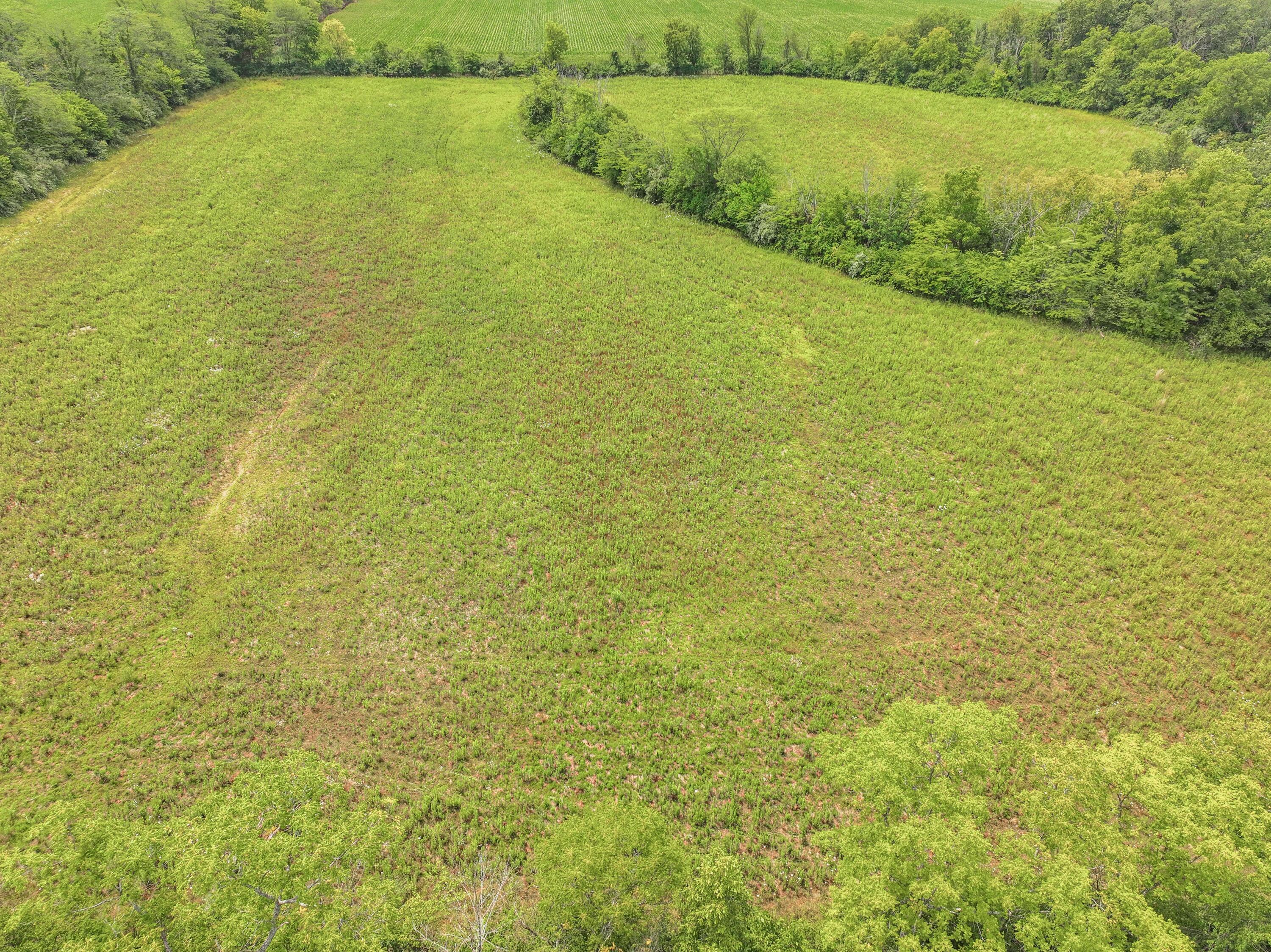 Photo 6 of 14 of 0 Hagerty Road land