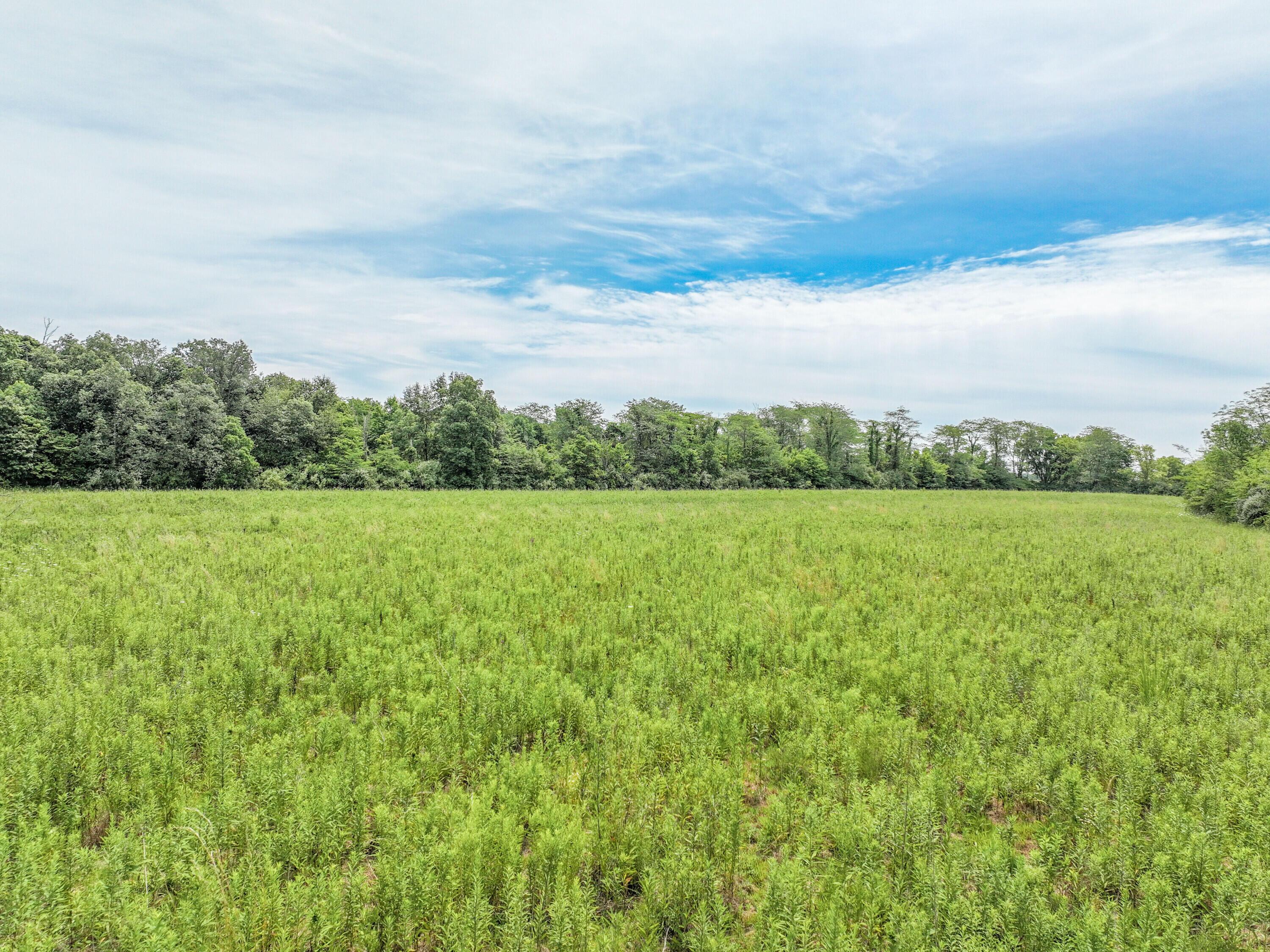 Photo 1 of 14 of 6519 Hagerty Road land