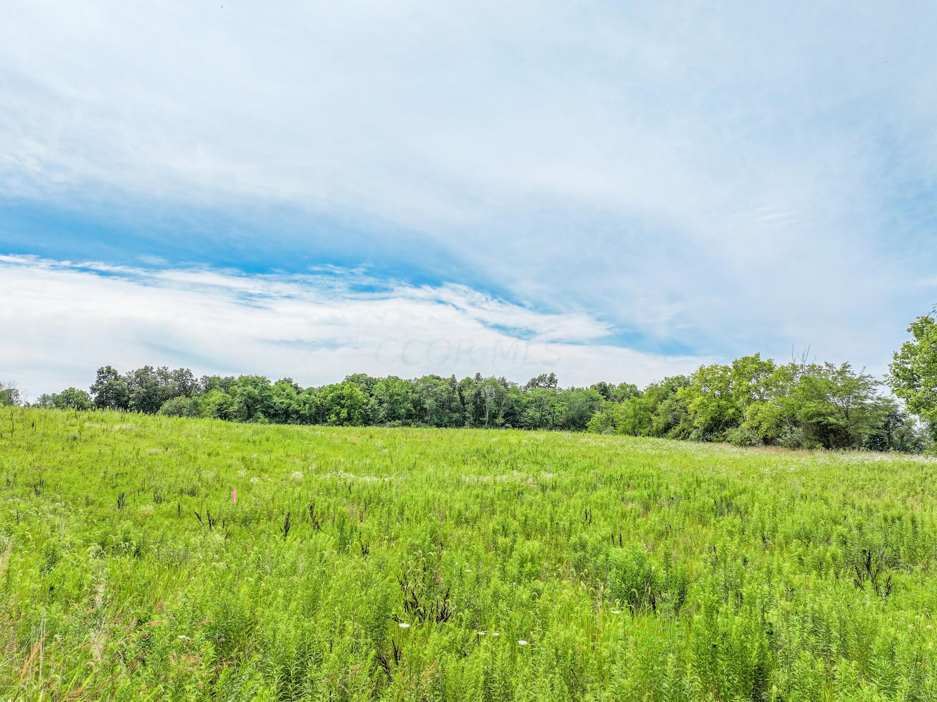 Photo 6 of 14 of 6519 Hagerty Road land