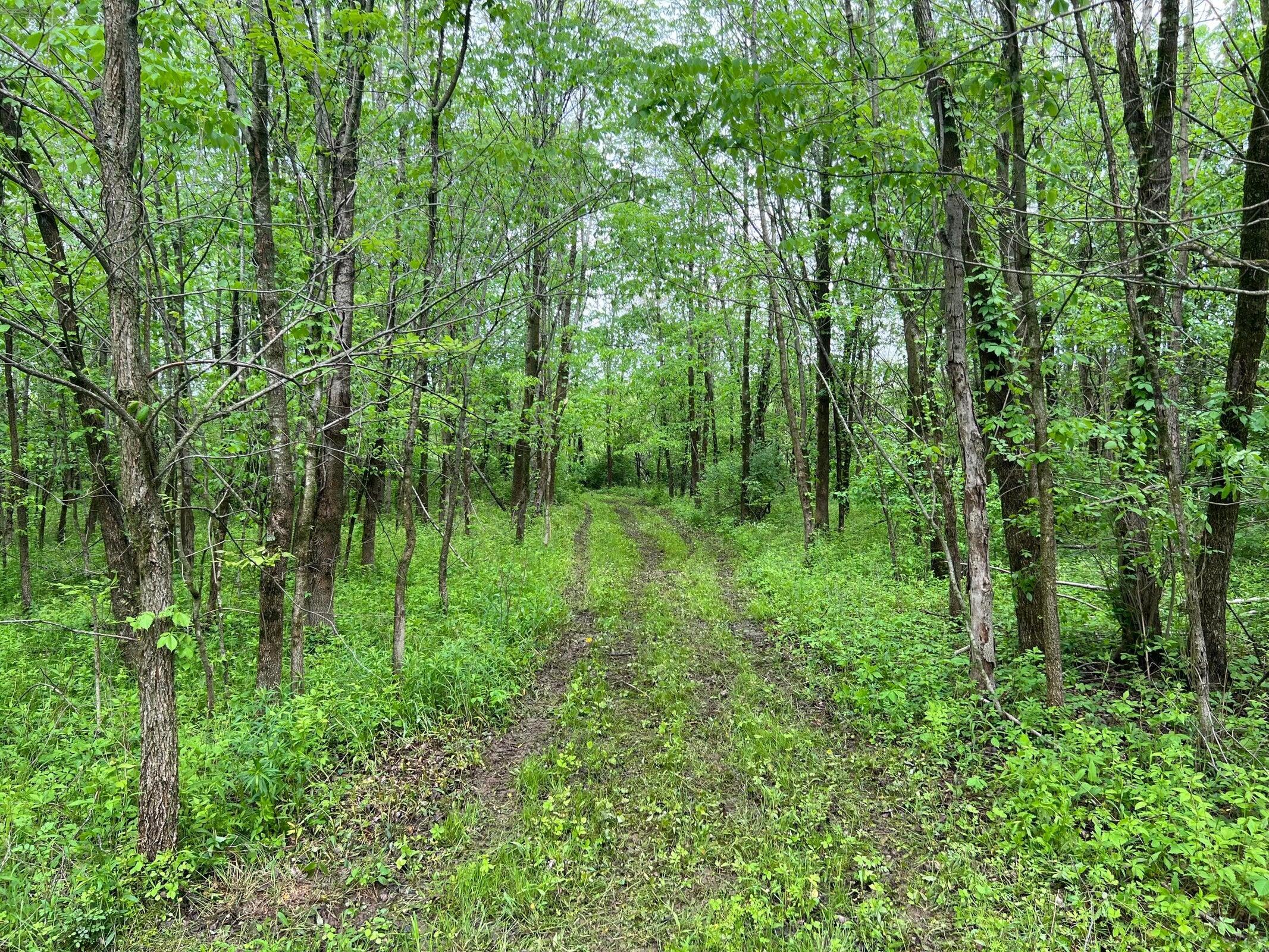 Photo 1 of 13 of 0 Snyder Church Road NW land