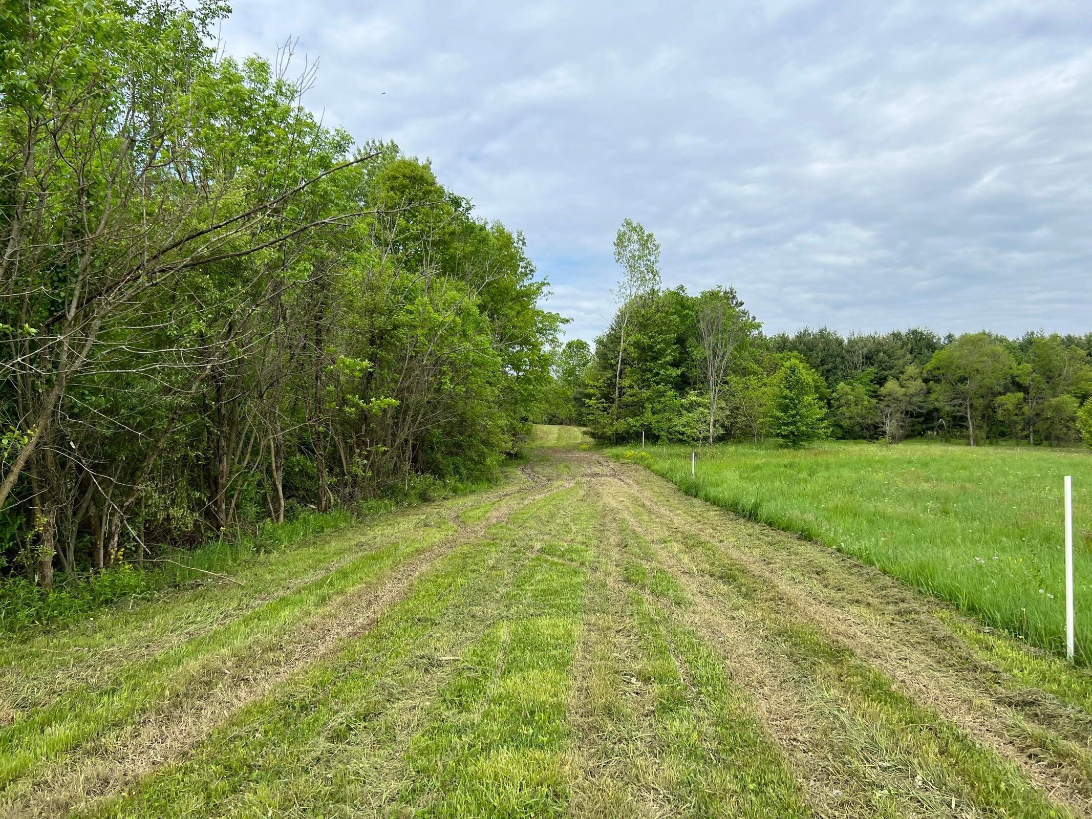 Photo 3 of 13 of 0 Snyder Church Road NW land