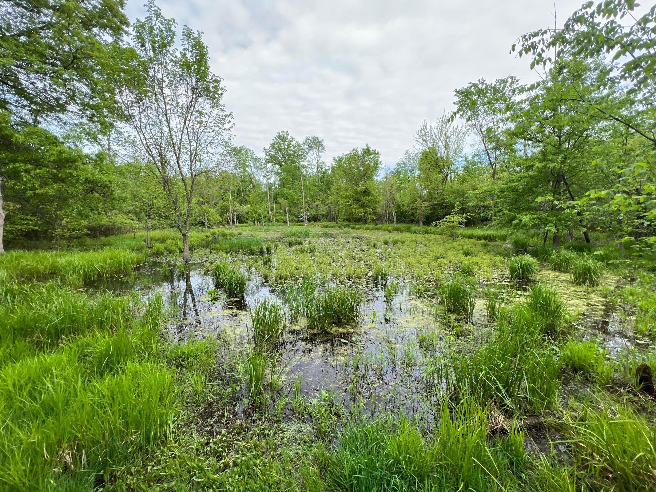 Photo 6 of 13 of 0 Snyder Church Road NW land