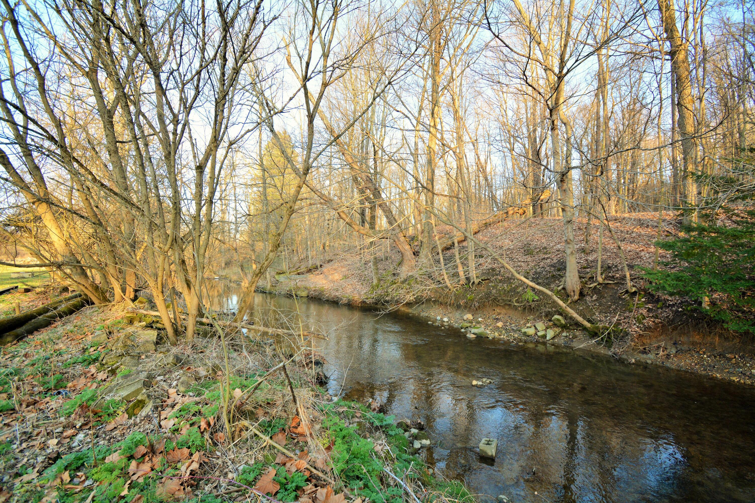 Photo 13 of 17 of 6890 Columbus Road land