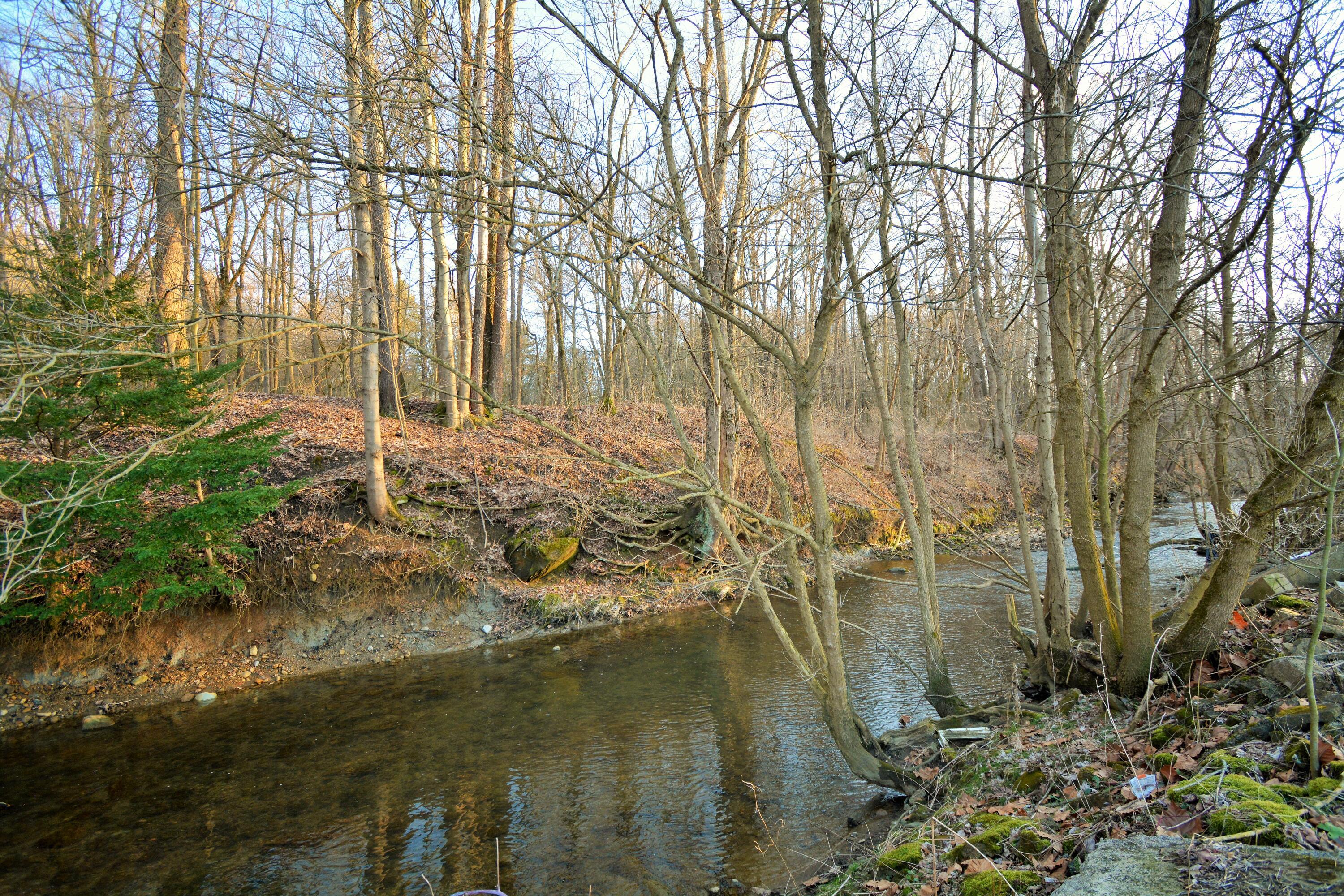 Photo 14 of 17 of 6890 Columbus Road land