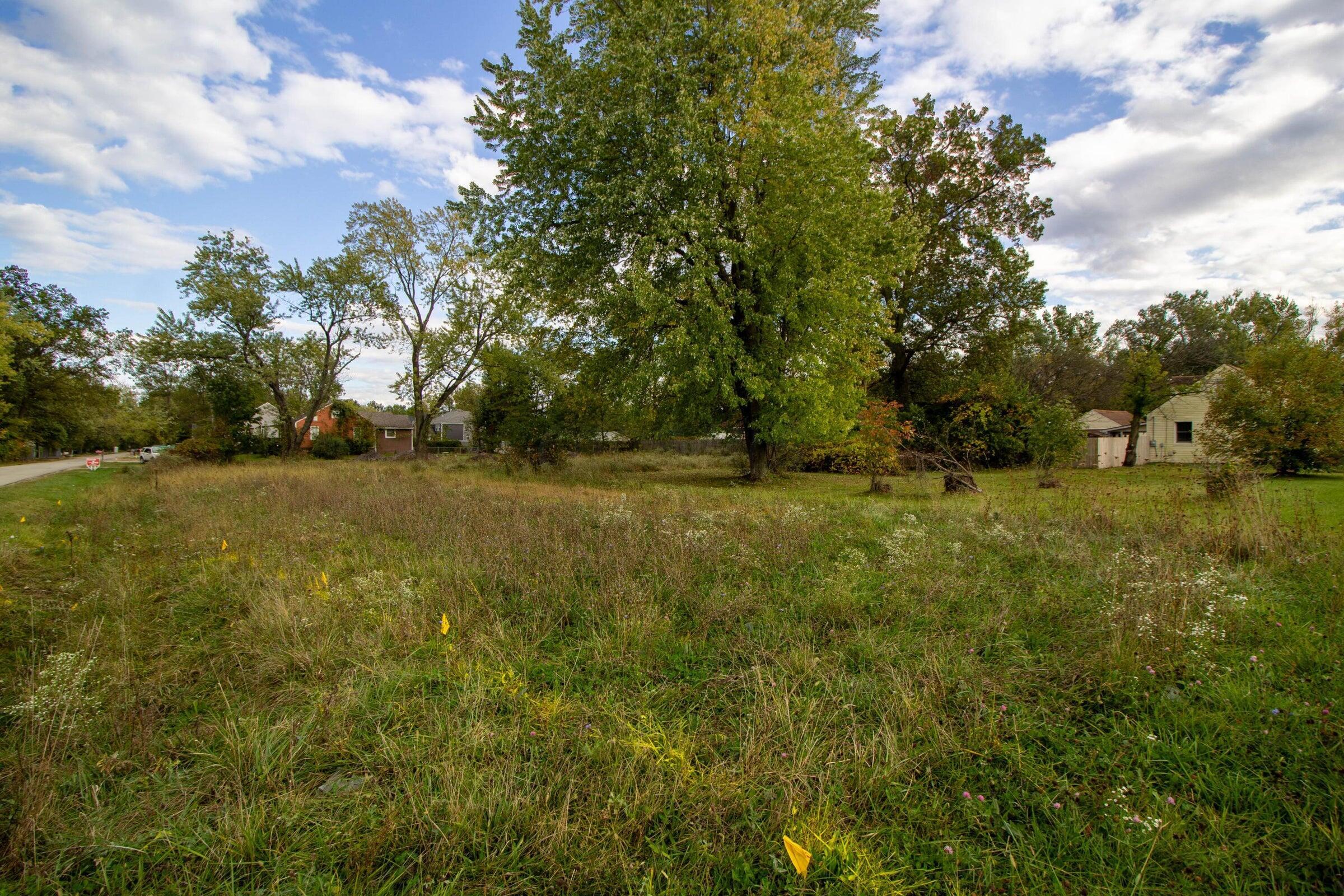 Photo 8 of 14 of 3703 Genessee Avenue land