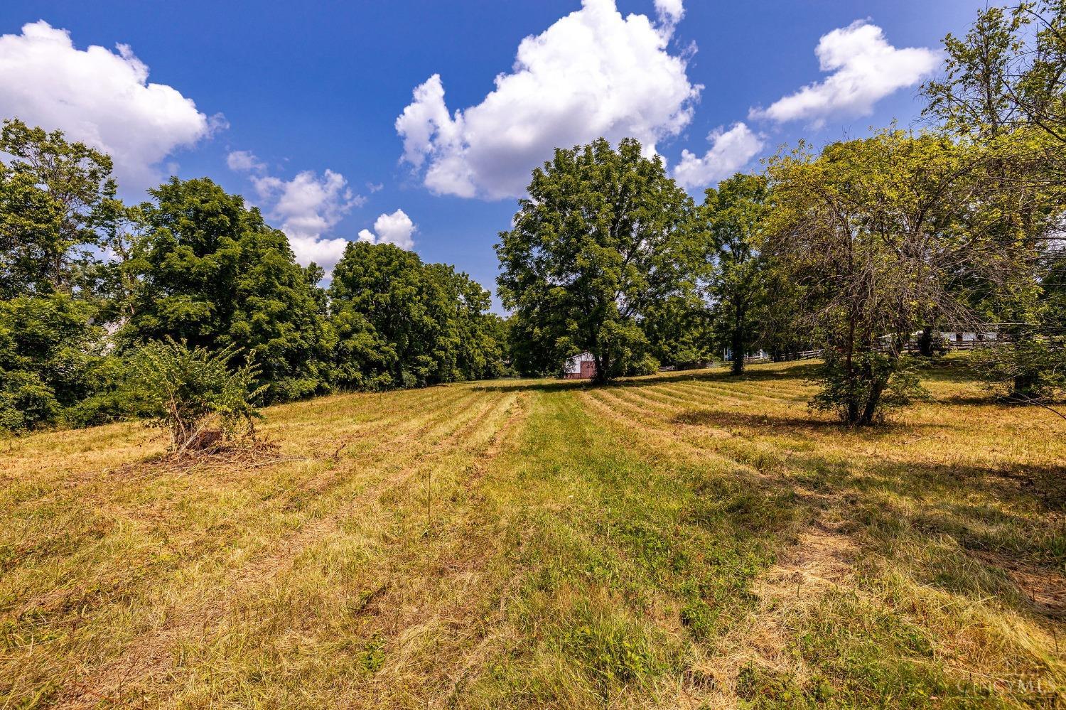 Photo 12 of 51 of 2331 Hamilton Middletown Road land