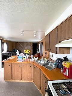 Photo 5 of 12 of 461 W Lytle 136 mobile home