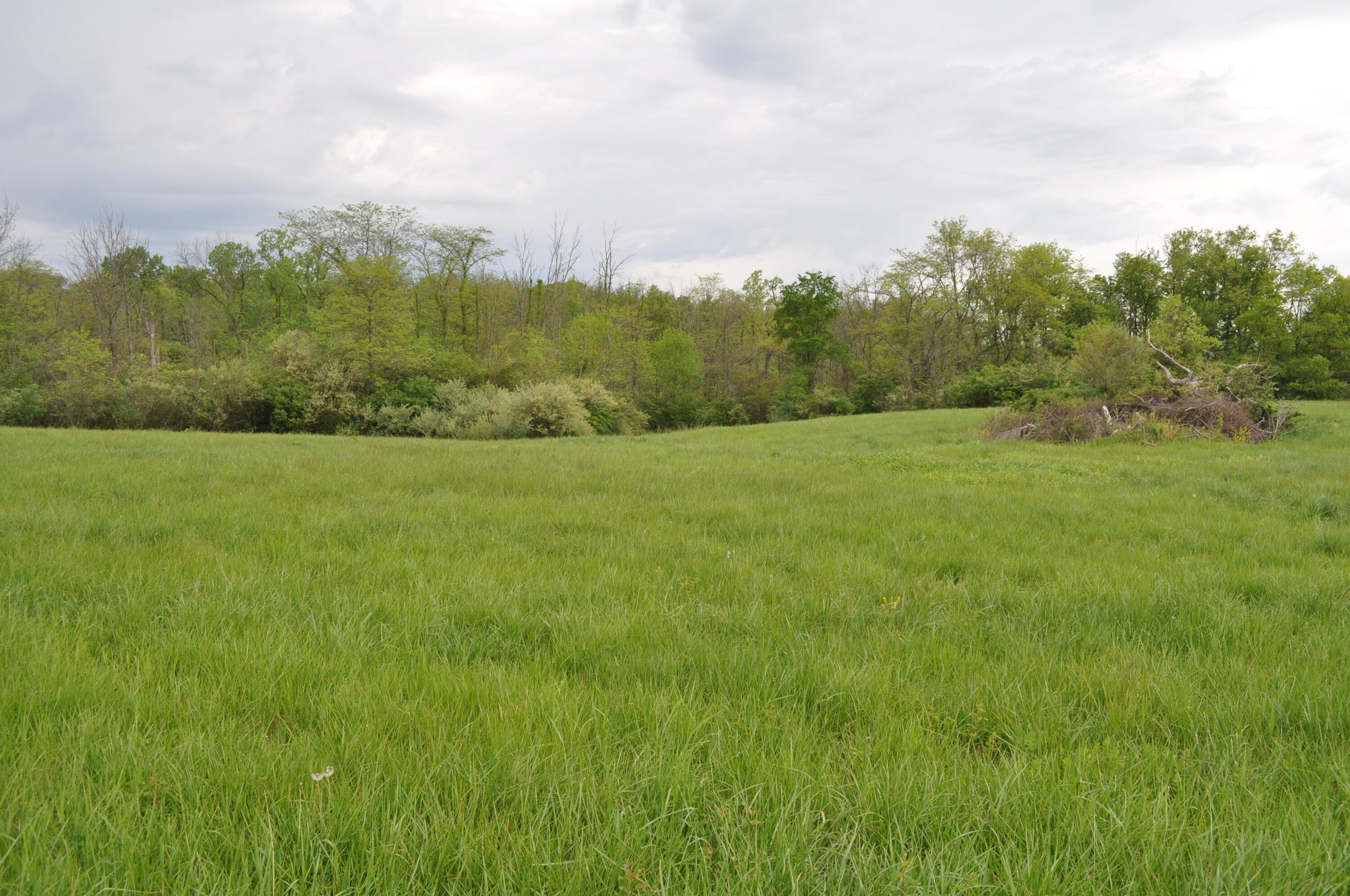 Photo 16 of 25 of 6995 Borror Road land