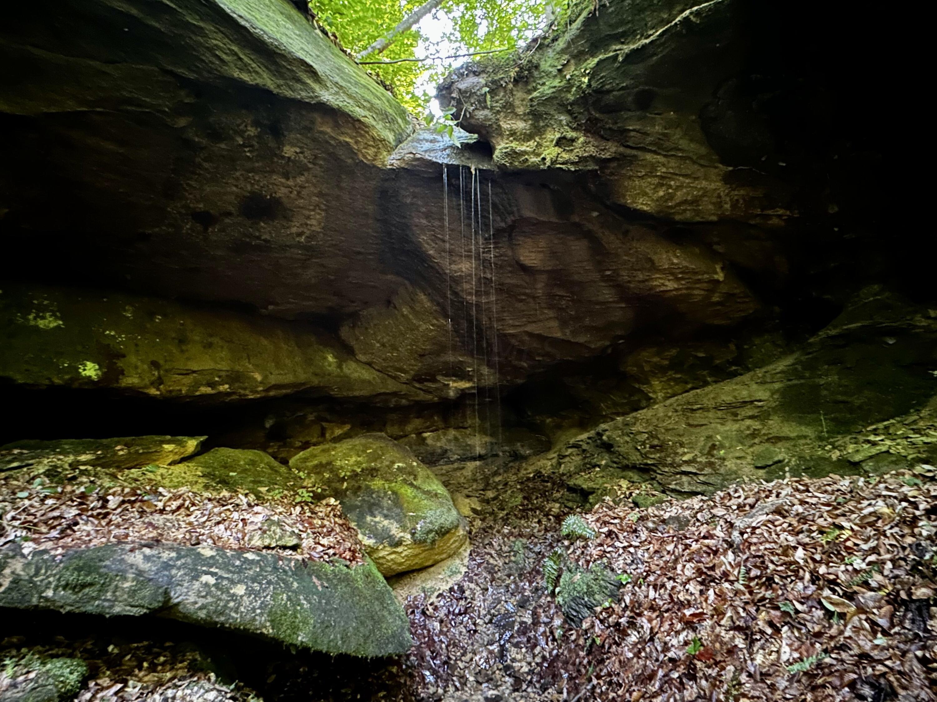 Photo 1 of 81 of 1773 Hull Road (Barns and Caves on Wayne) land