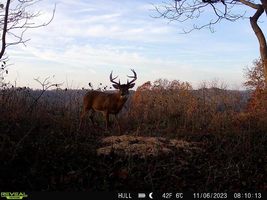 Photo 12 of 81 of 1773 Hull Road (Barns and Caves on Wayne) land