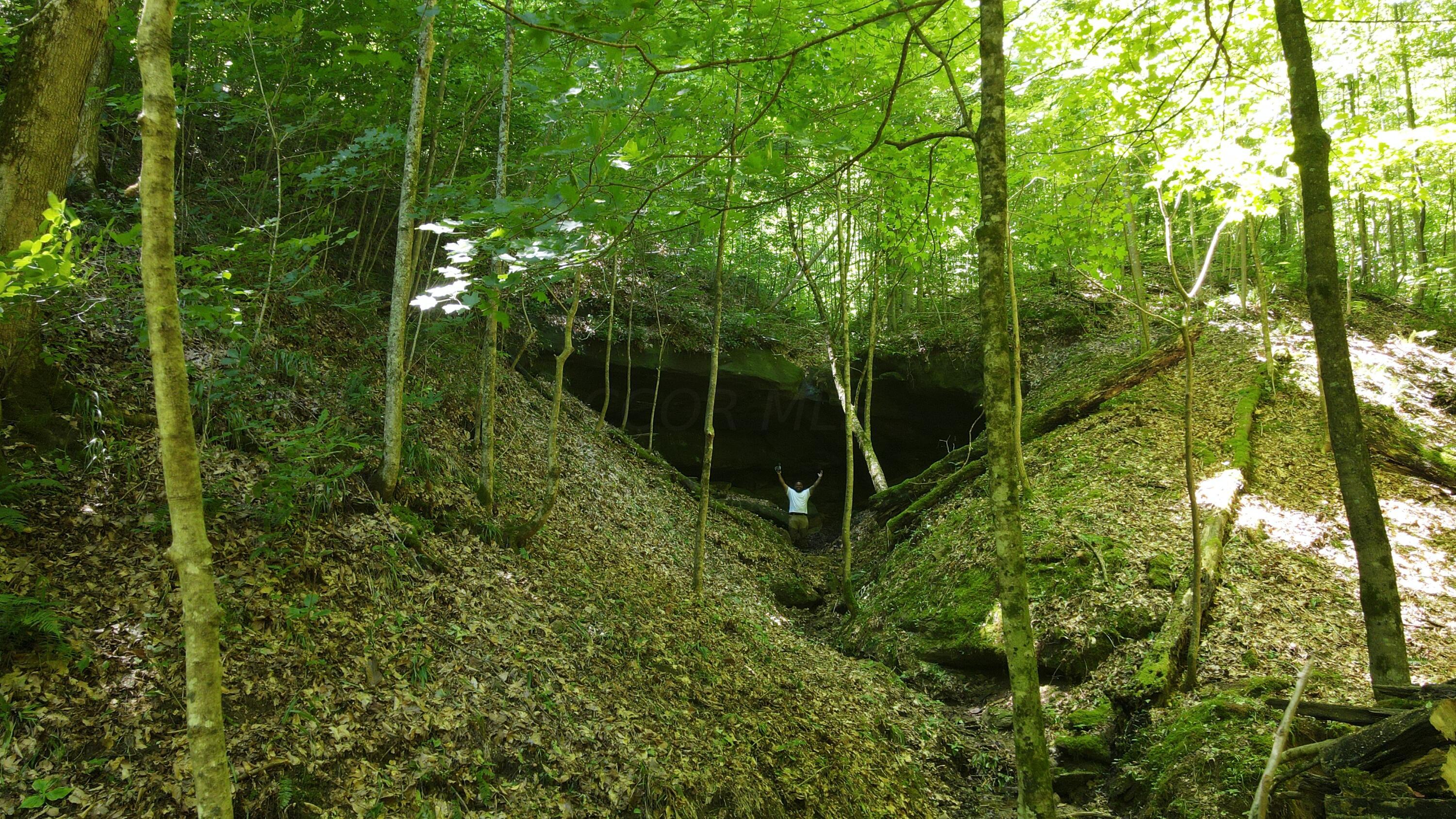 Photo 2 of 81 of 1773 Hull Road (Barns and Caves on Wayne) land