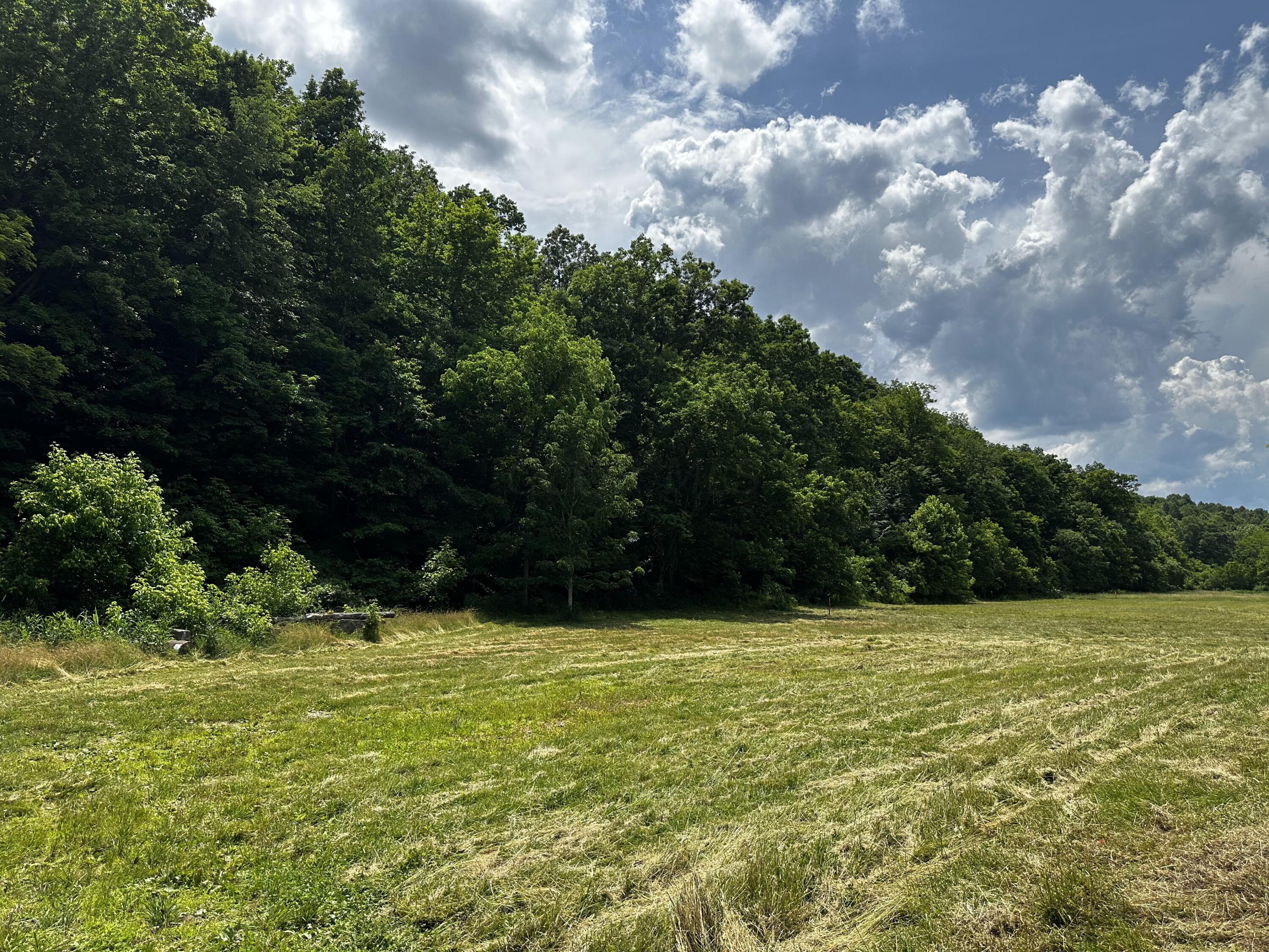 Photo 25 of 81 of 1773 Hull Road (Barns and Caves on Wayne) land