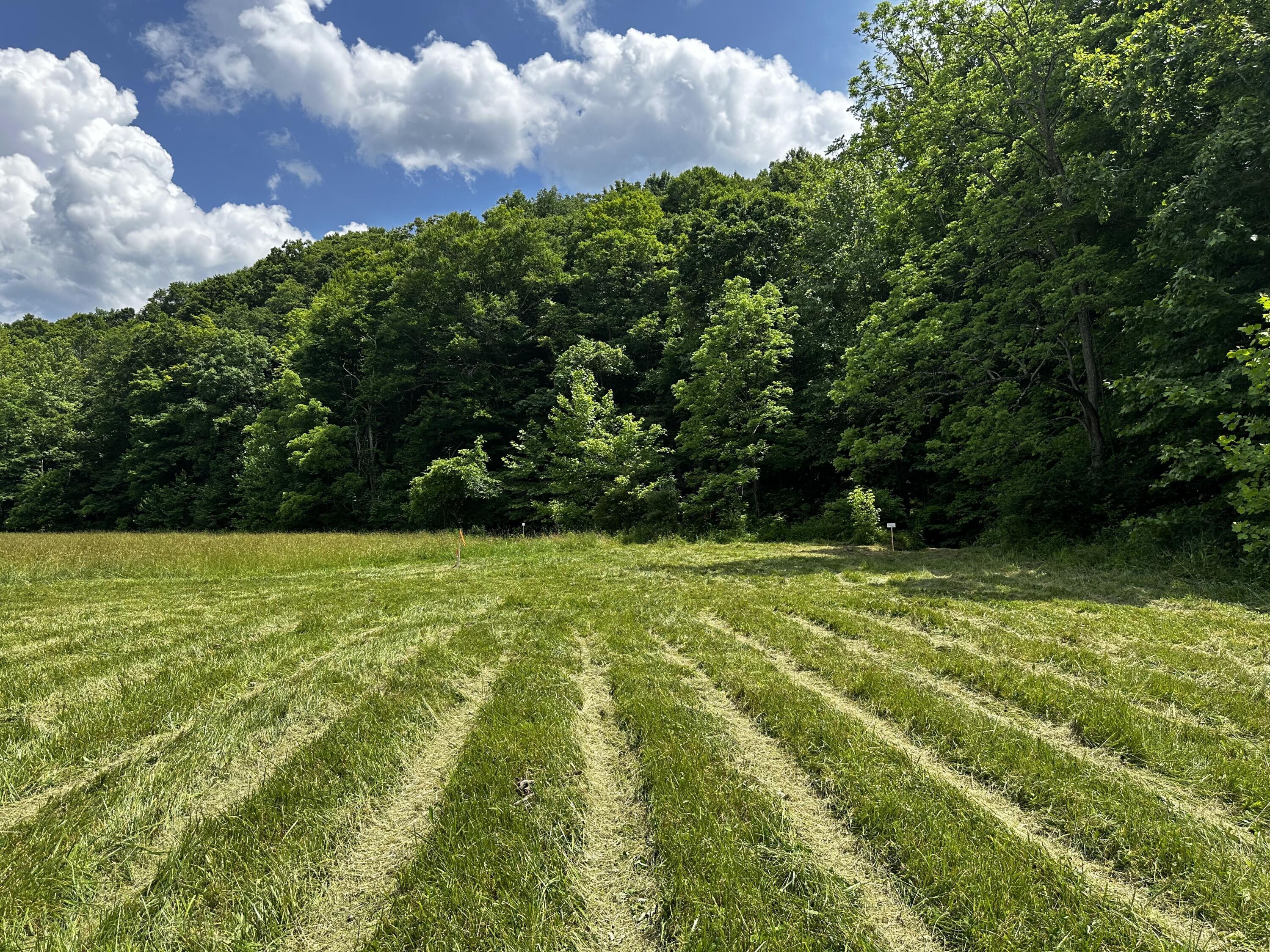 Photo 26 of 81 of 1773 Hull Road (Barns and Caves on Wayne) land