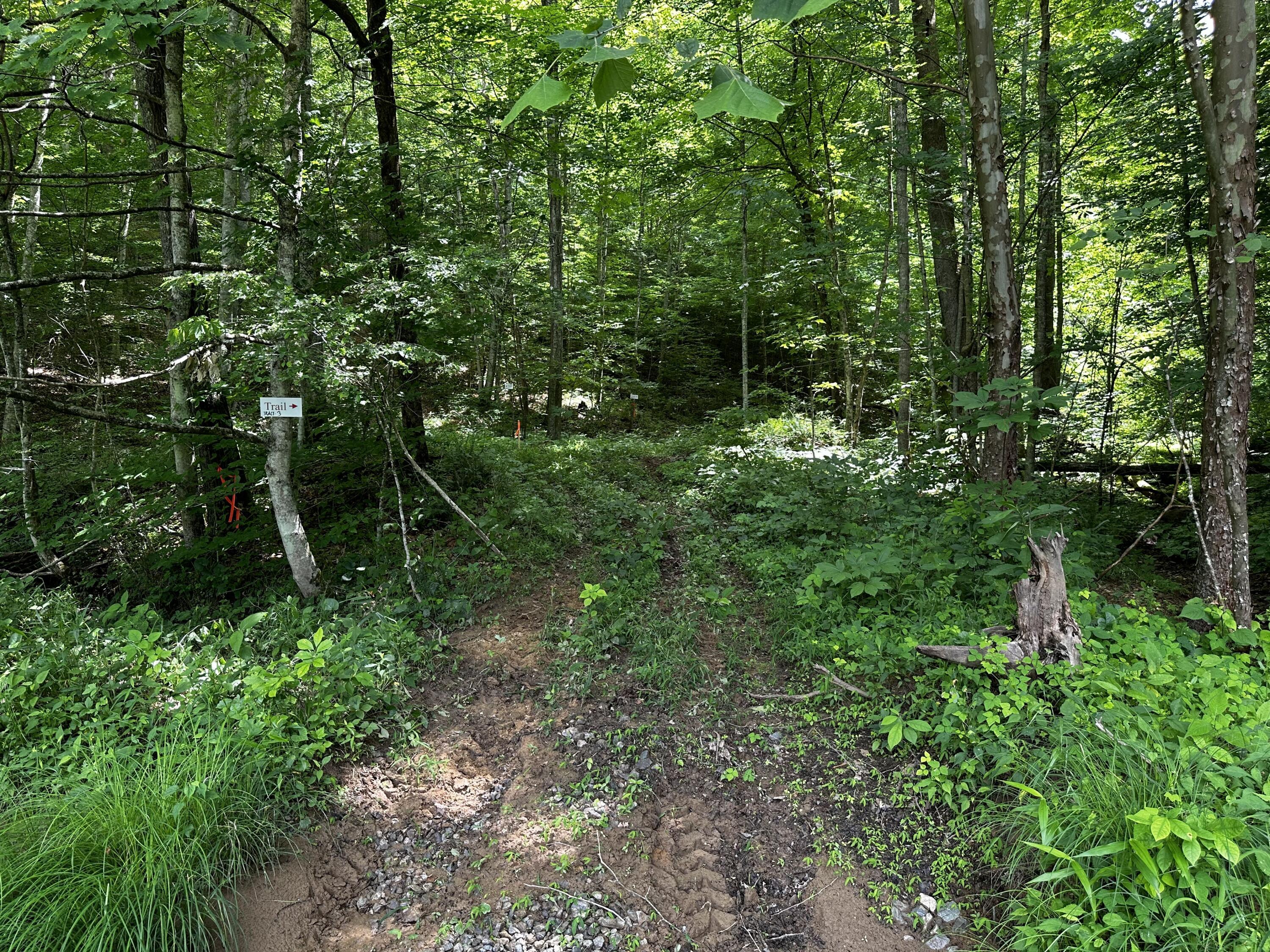 Photo 29 of 81 of 1773 Hull Road (Barns and Caves on Wayne) land