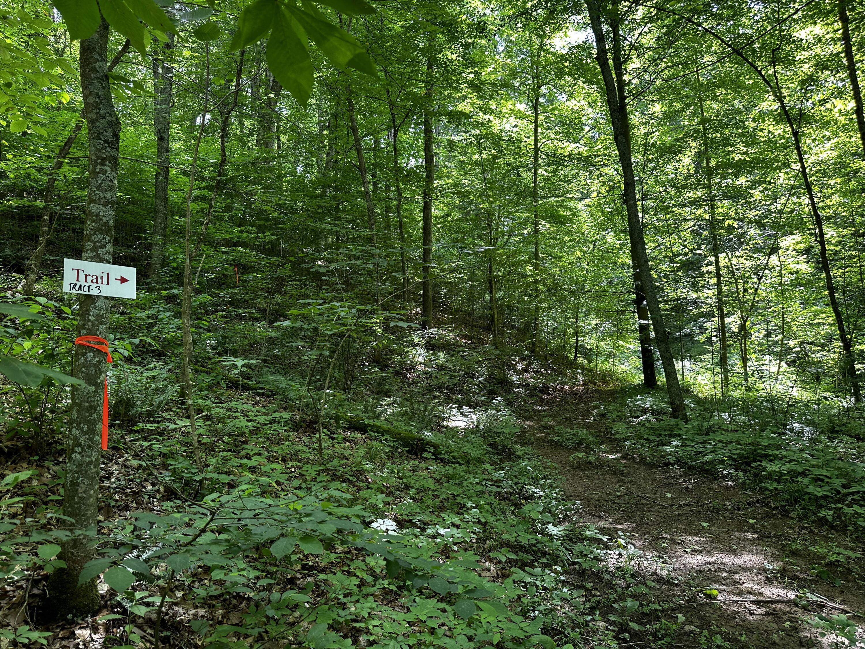 Photo 32 of 81 of 1773 Hull Road (Barns and Caves on Wayne) land