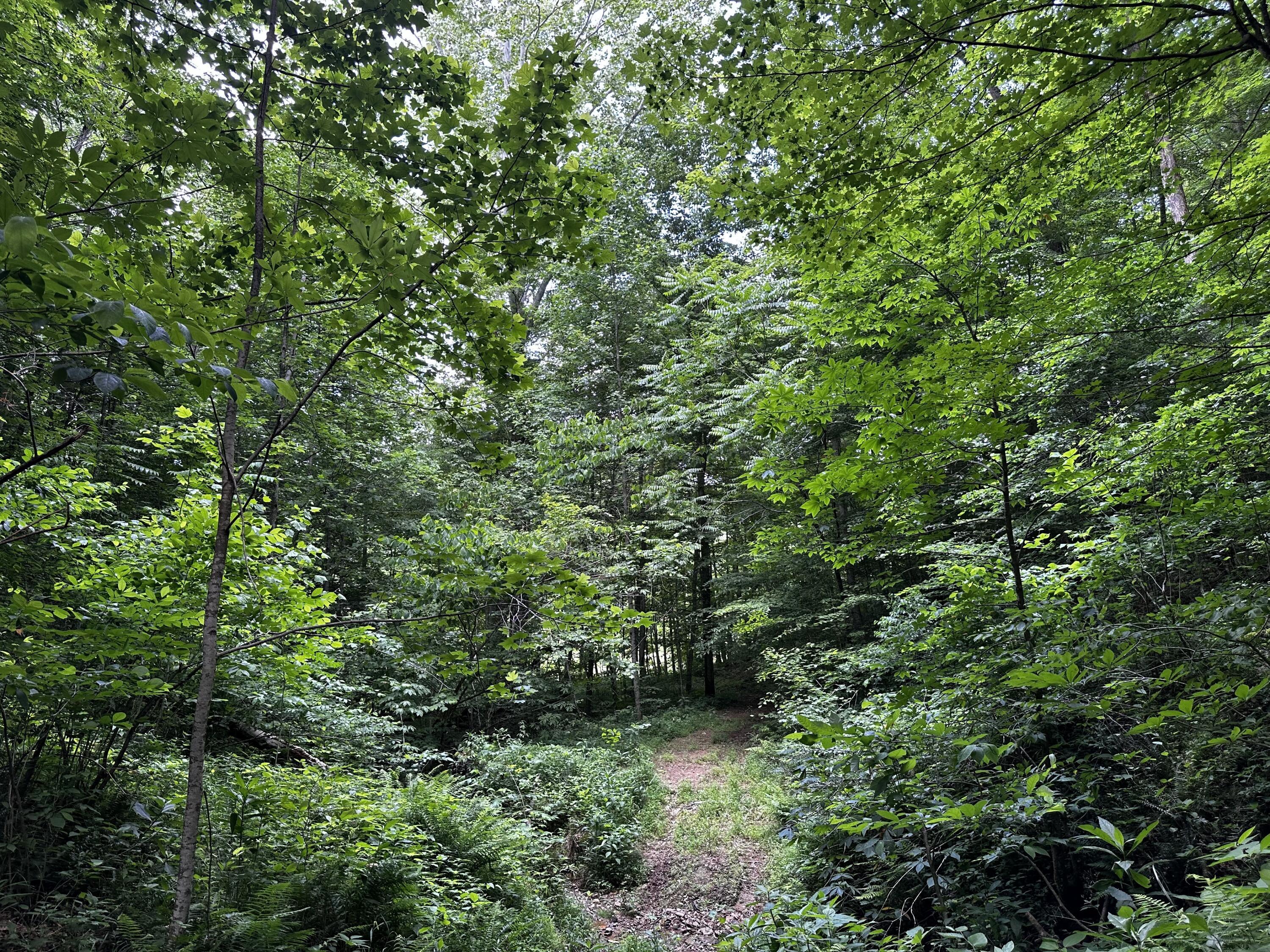 Photo 35 of 81 of 1773 Hull Road (Barns and Caves on Wayne) land