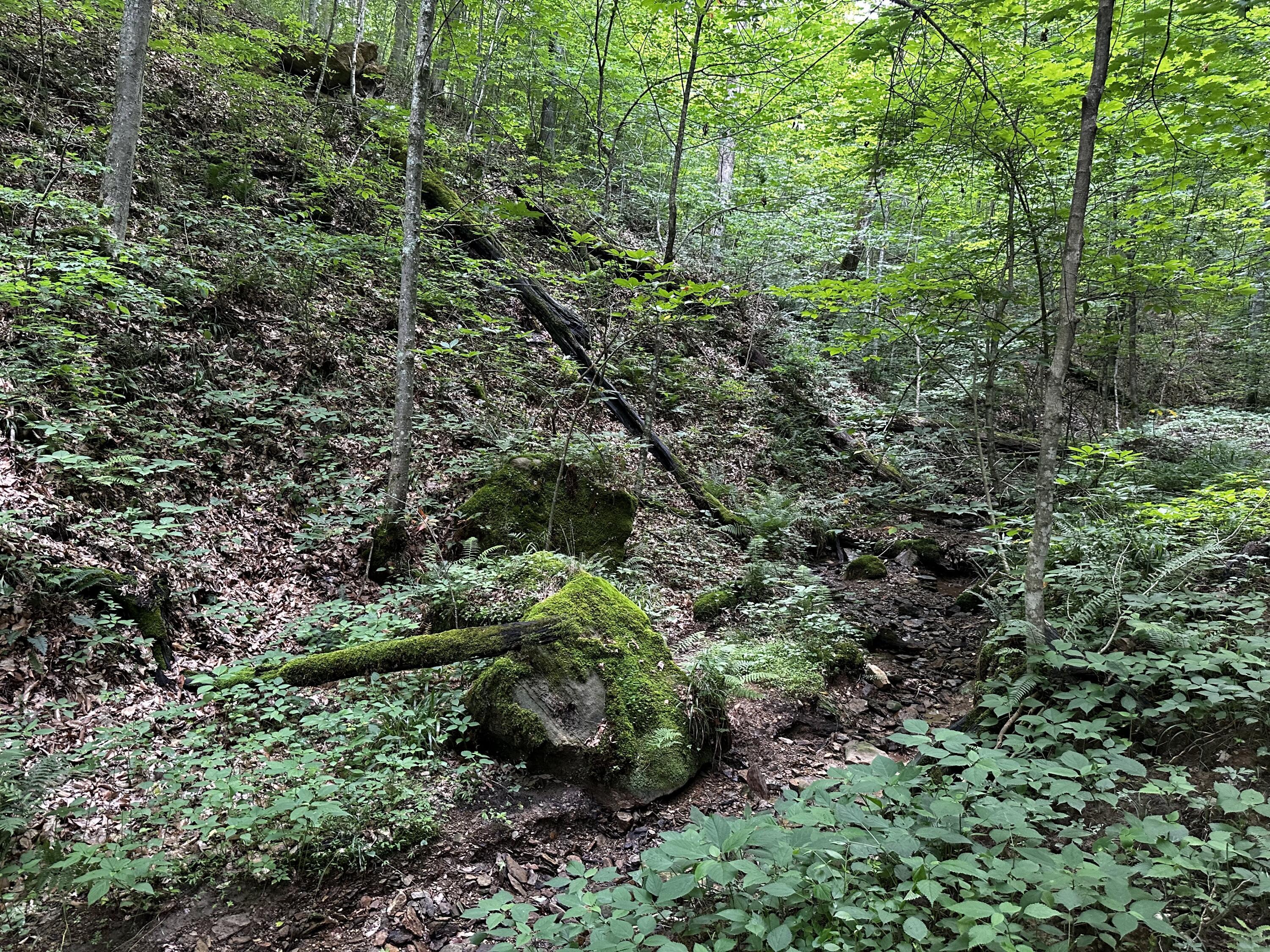 Photo 36 of 81 of 1773 Hull Road (Barns and Caves on Wayne) land