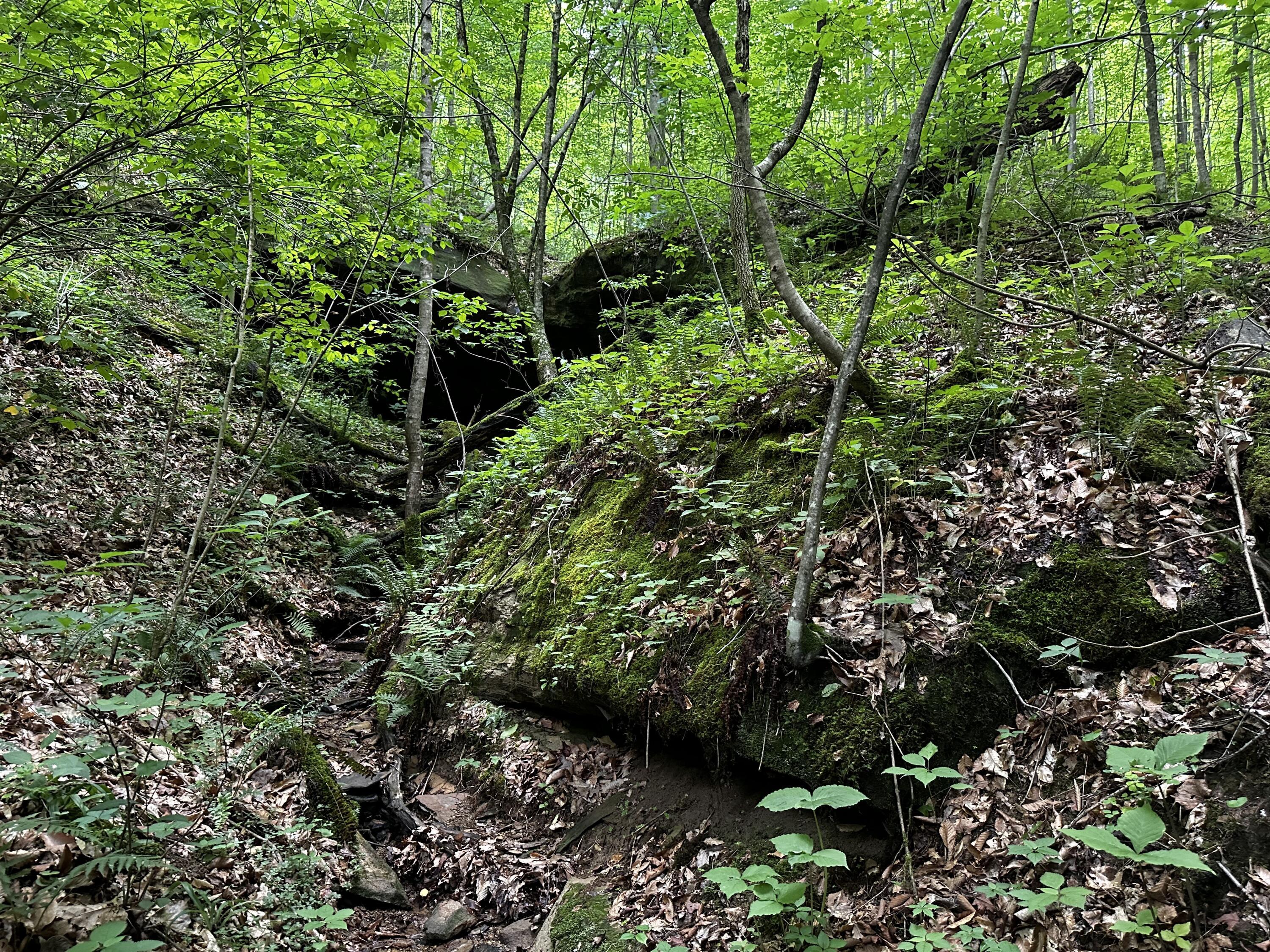 Photo 38 of 81 of 1773 Hull Road (Barns and Caves on Wayne) land