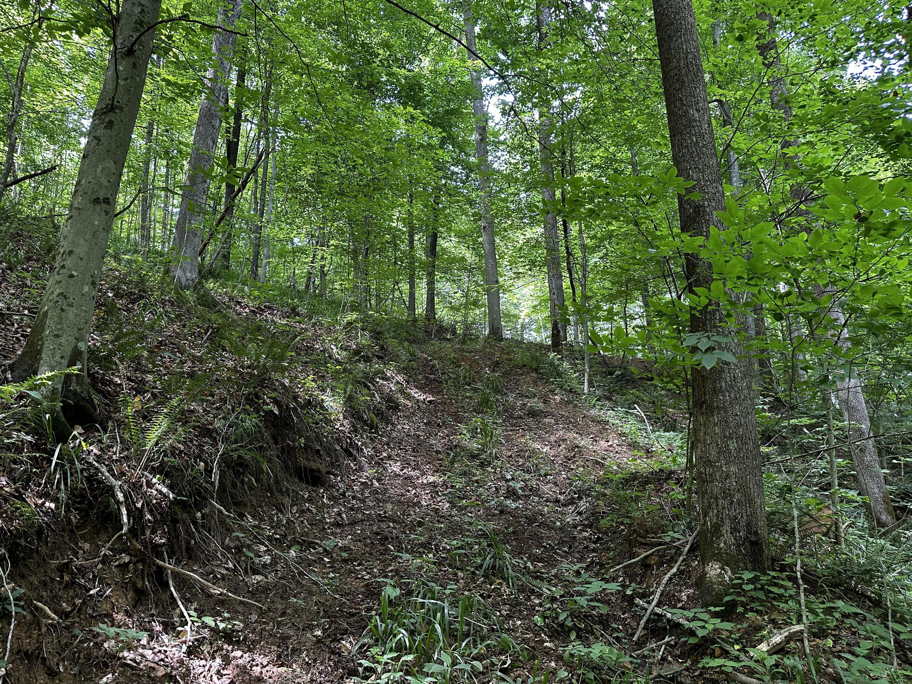 Photo 40 of 81 of 1773 Hull Road (Barns and Caves on Wayne) land