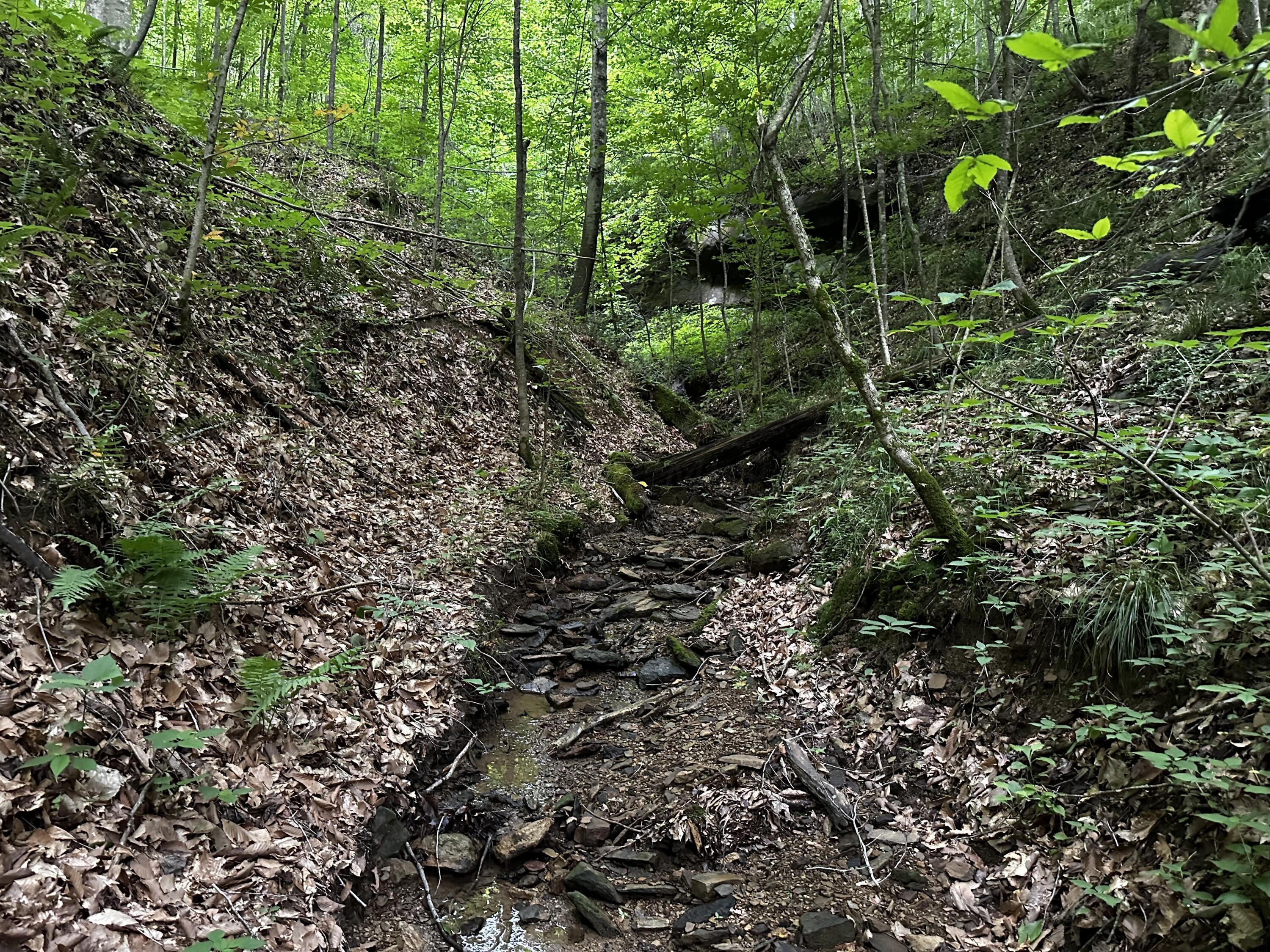 Photo 42 of 81 of 1773 Hull Road (Barns and Caves on Wayne) land