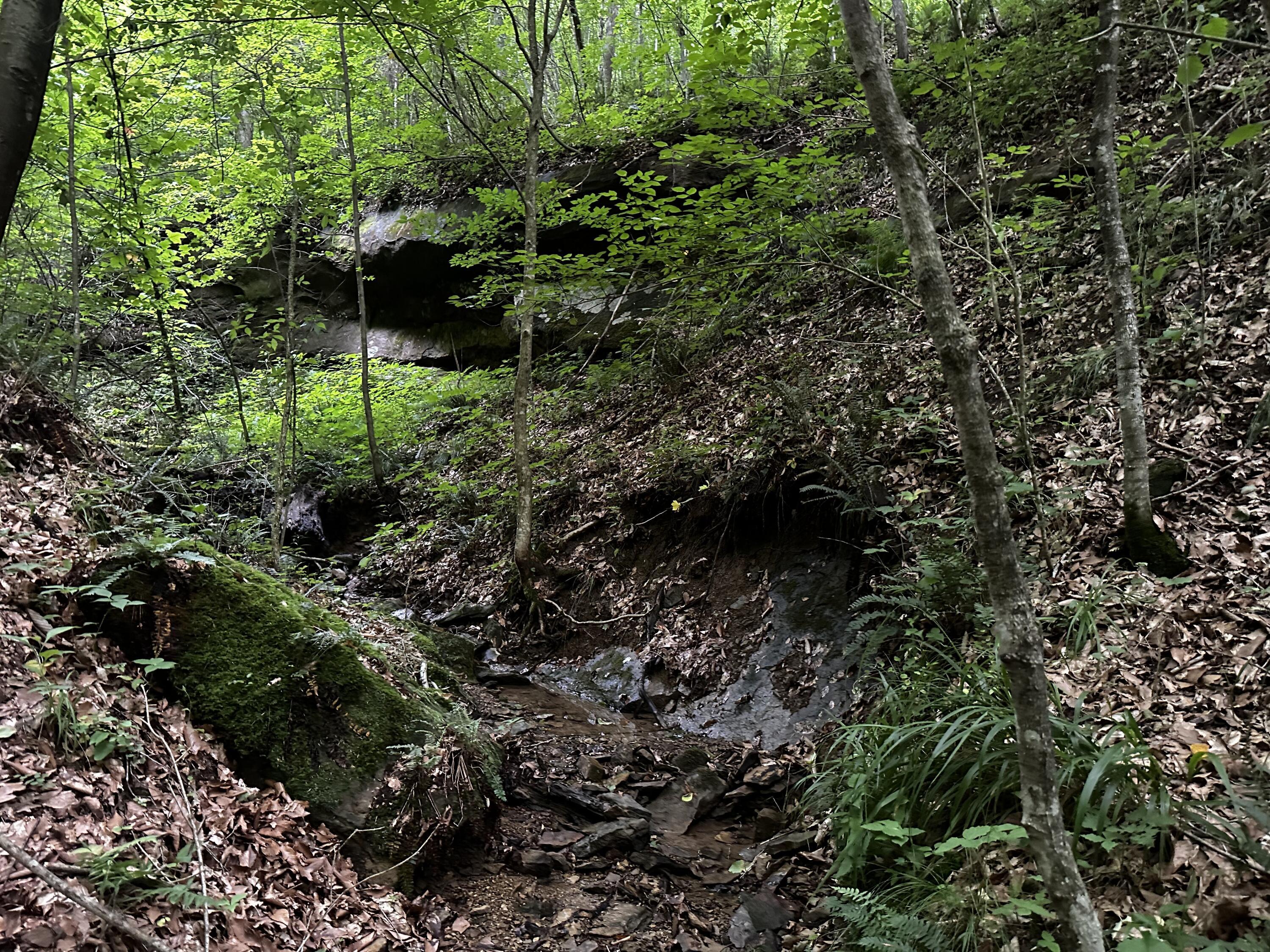 Photo 43 of 81 of 1773 Hull Road (Barns and Caves on Wayne) land