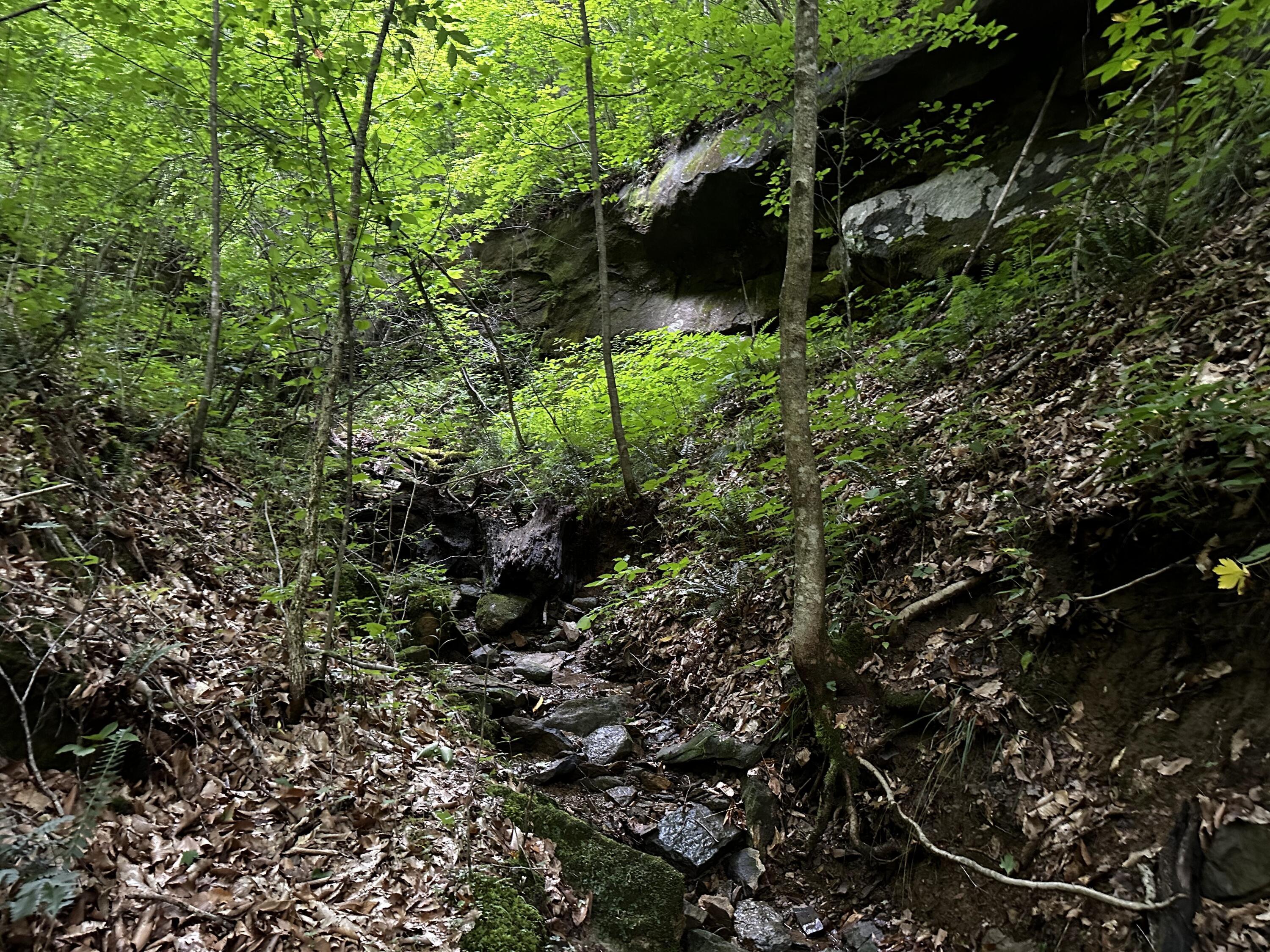 Photo 44 of 81 of 1773 Hull Road (Barns and Caves on Wayne) land