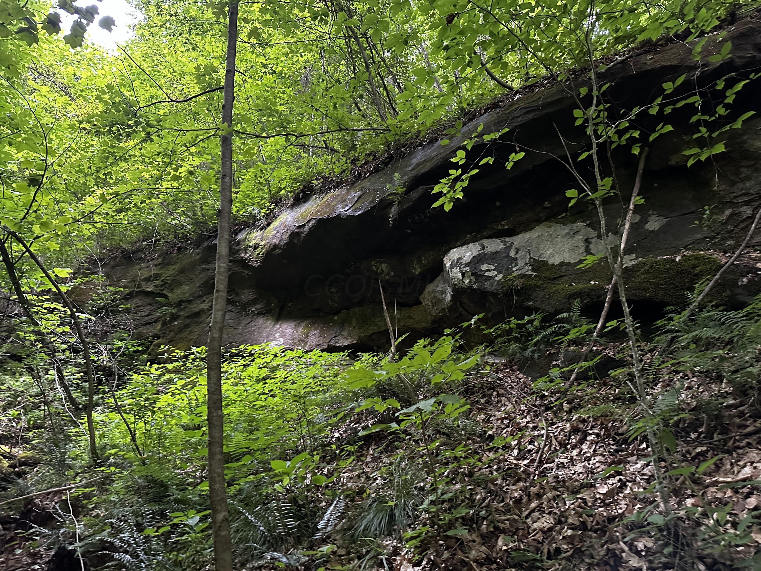 Photo 45 of 81 of 1773 Hull Road (Barns and Caves on Wayne) land